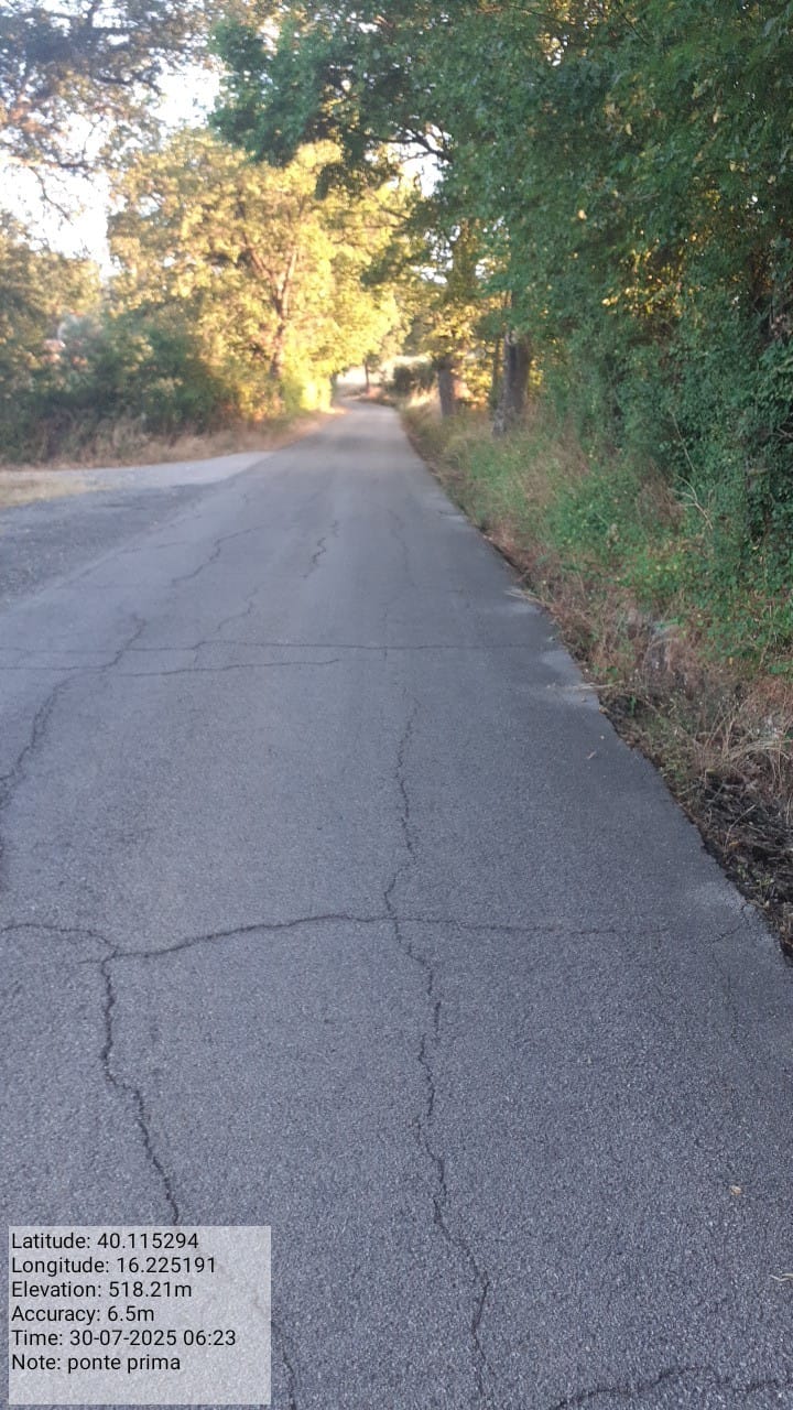 Galleria Fotografica Immagine