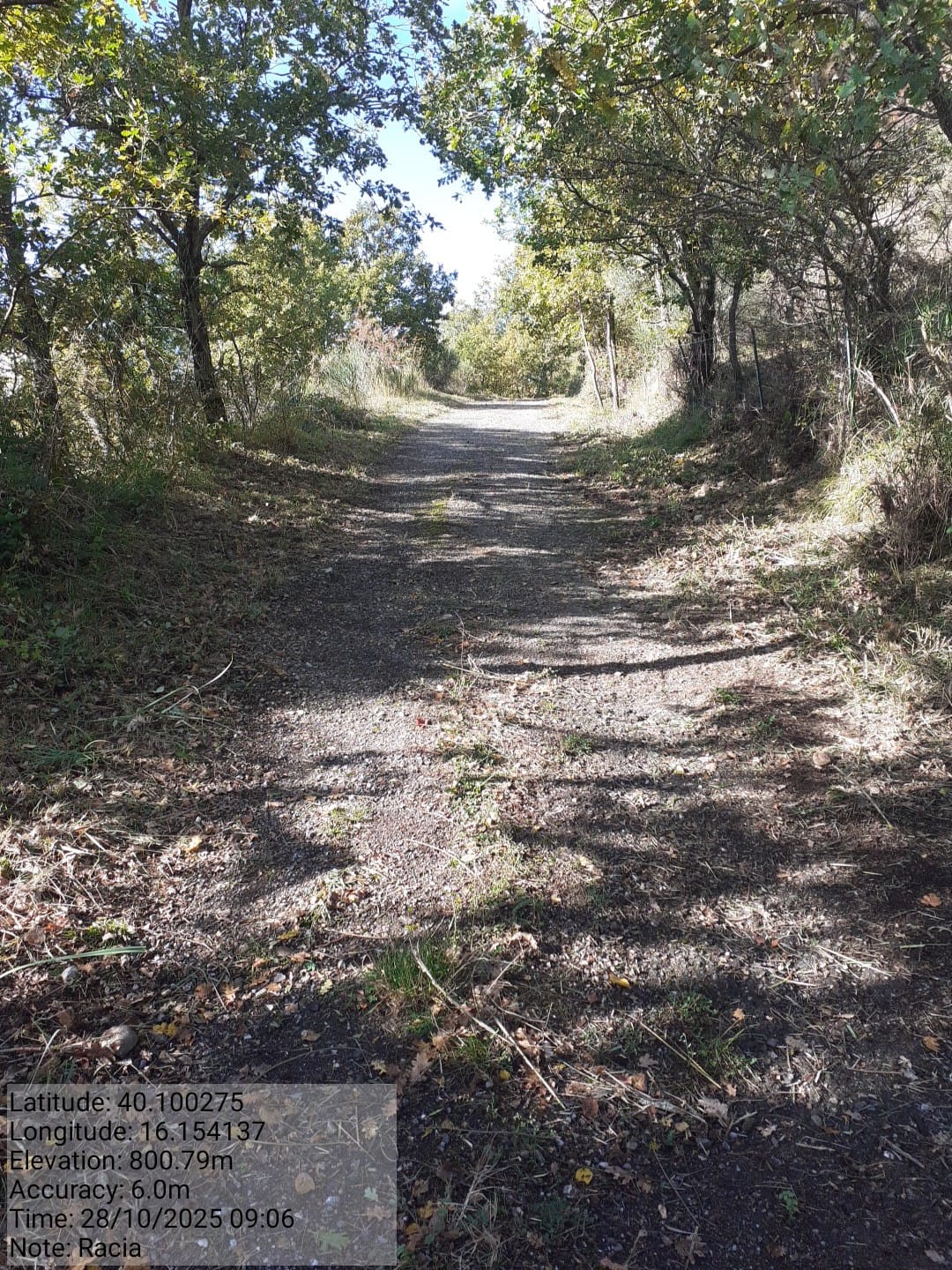 Galleria Fotografica Immagine