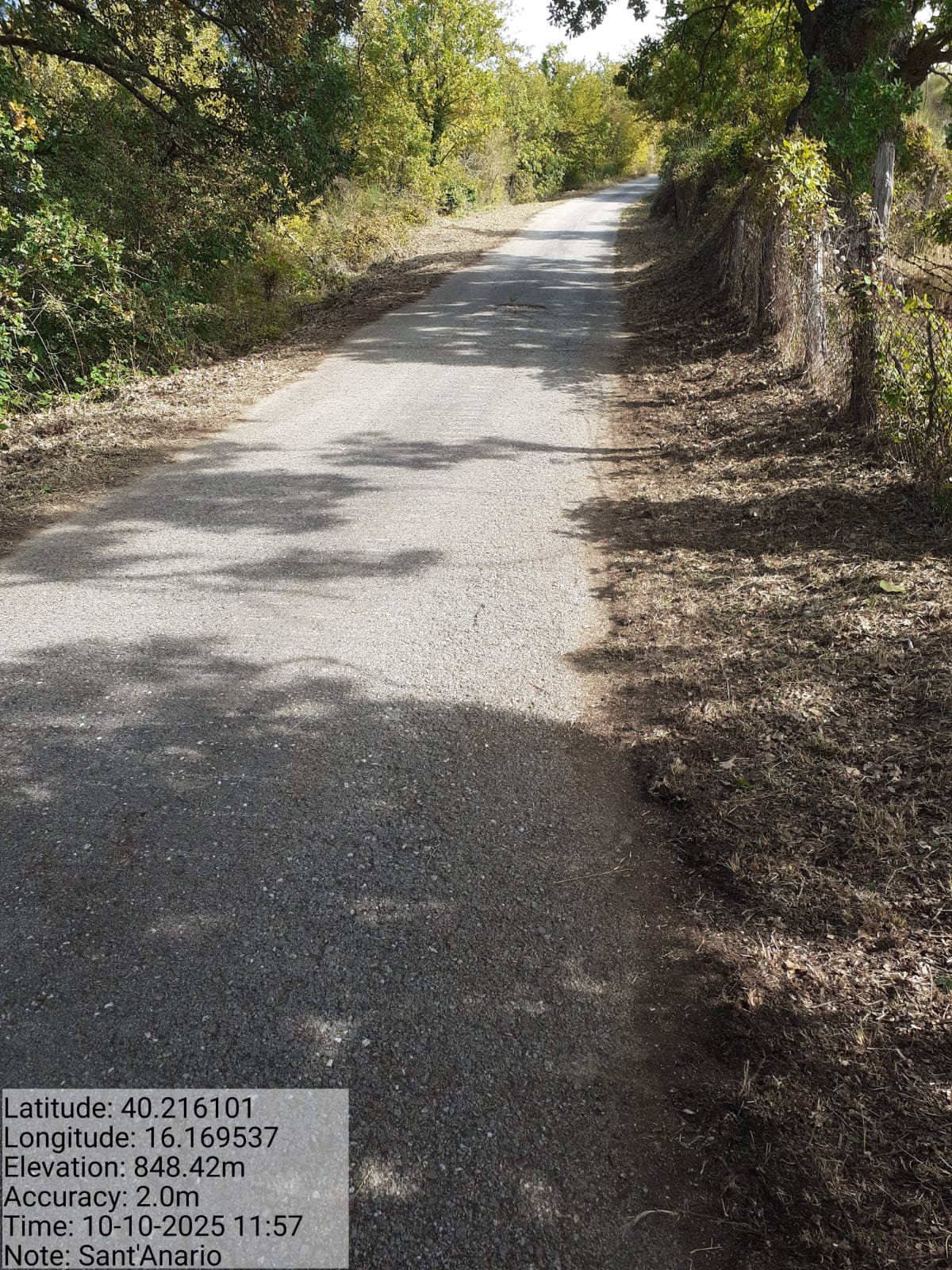 Galleria Fotografica Immagine