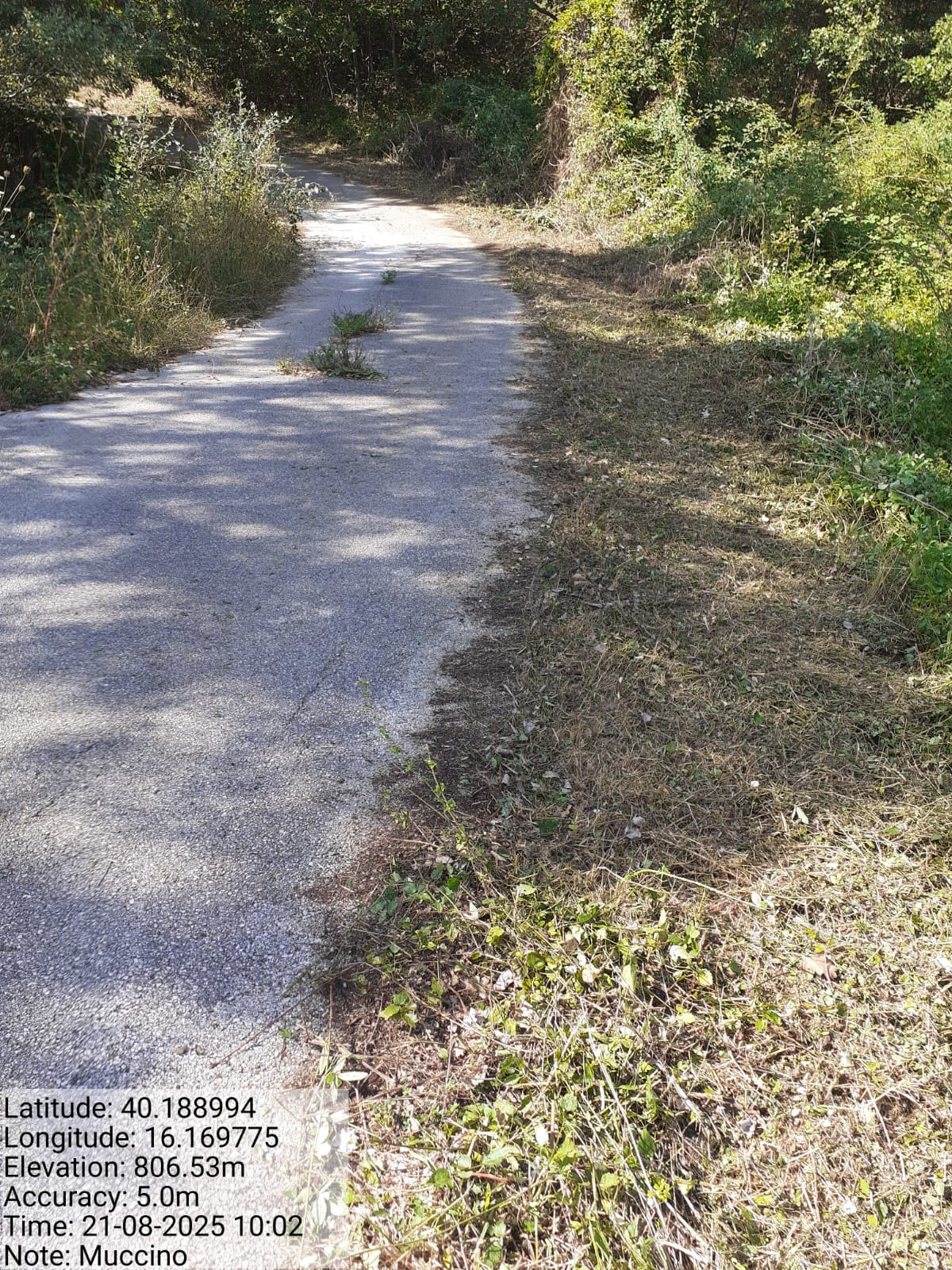 Galleria Fotografica Immagine