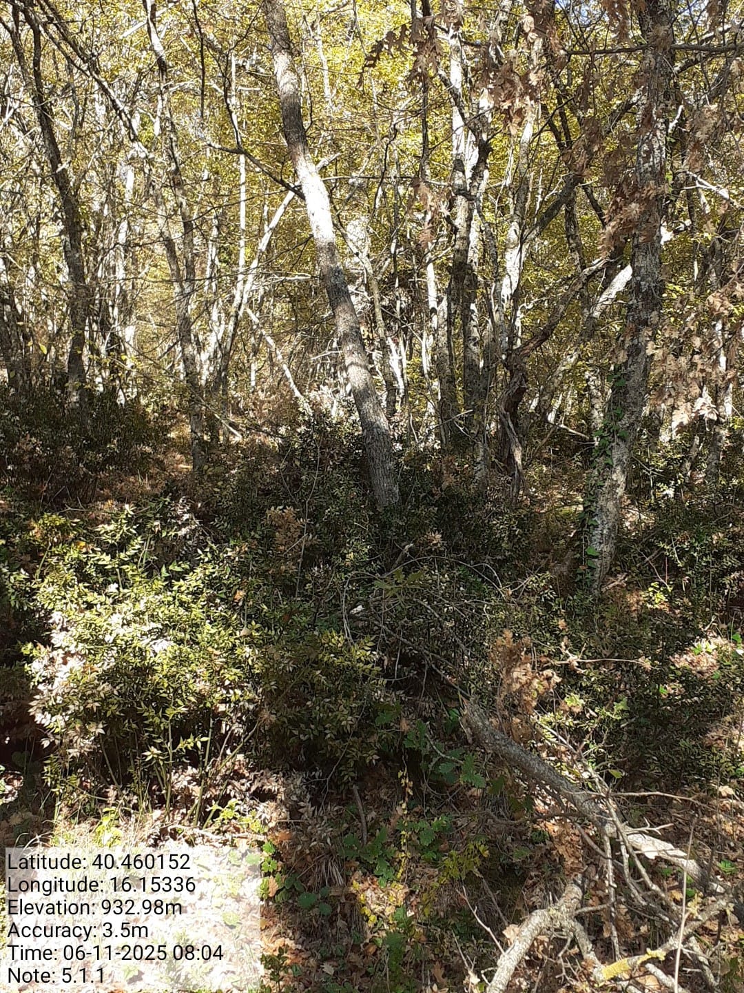 Galleria Fotografica Immagine