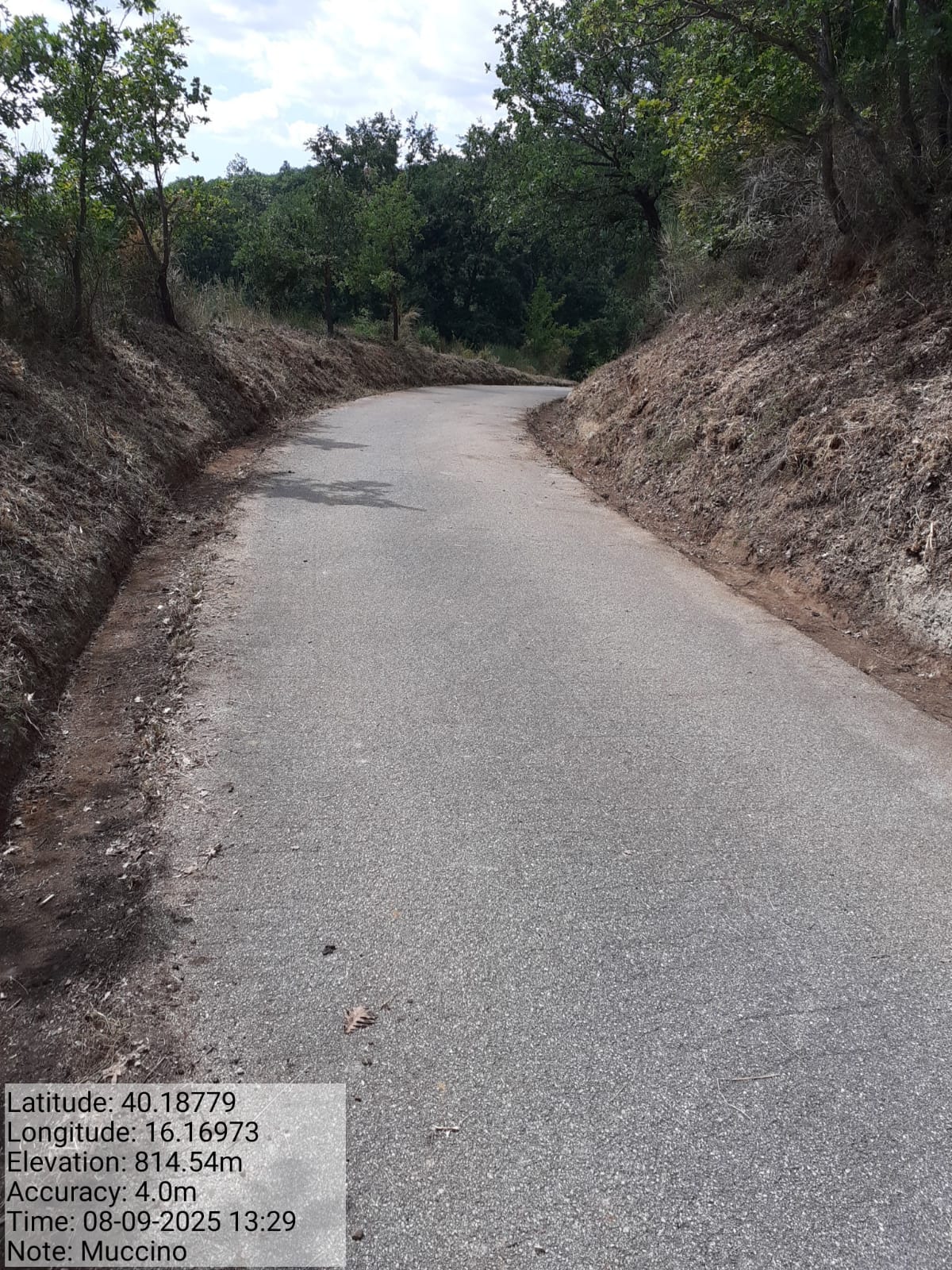 Galleria Fotografica Immagine