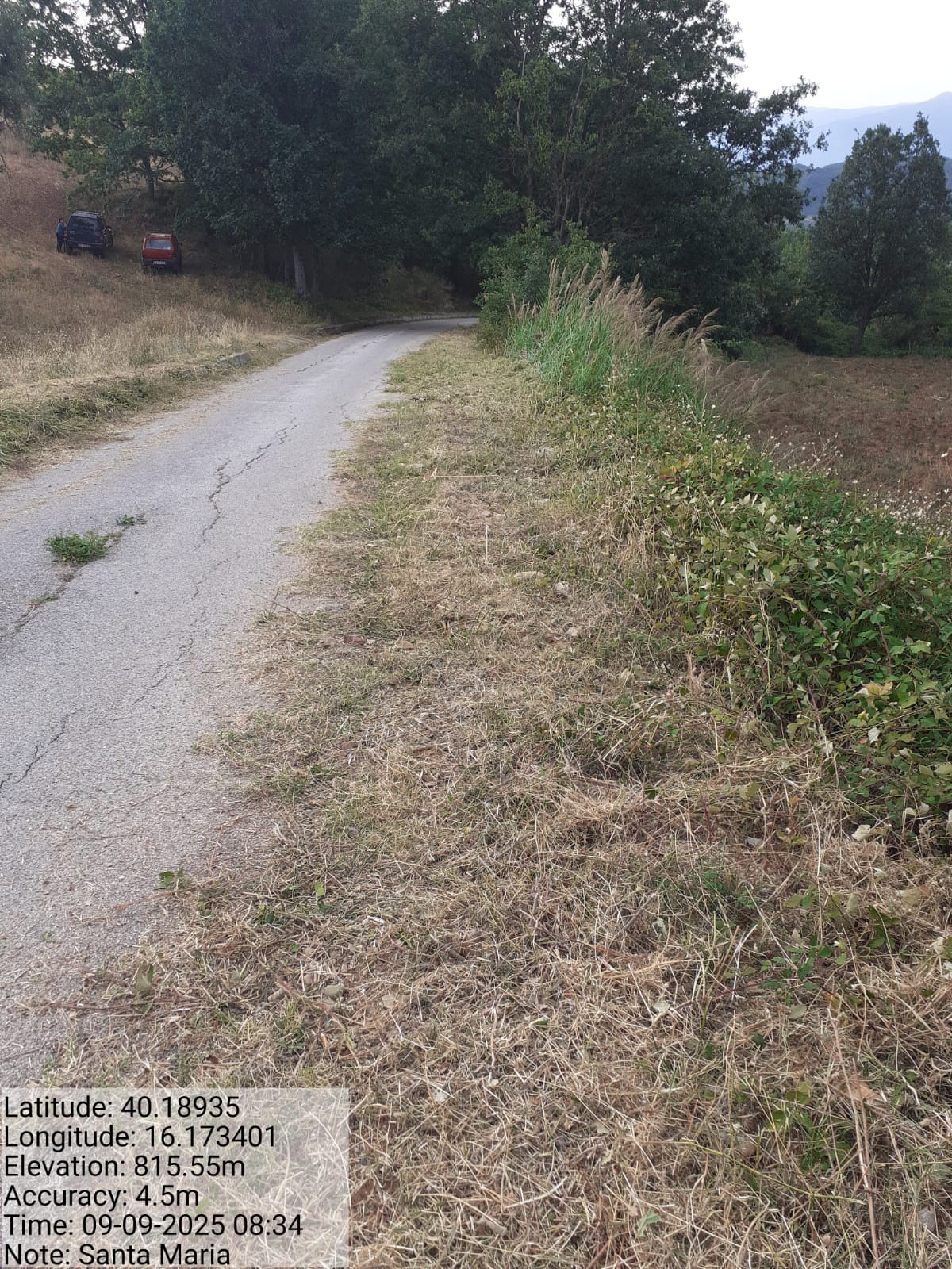 Galleria Fotografica Immagine