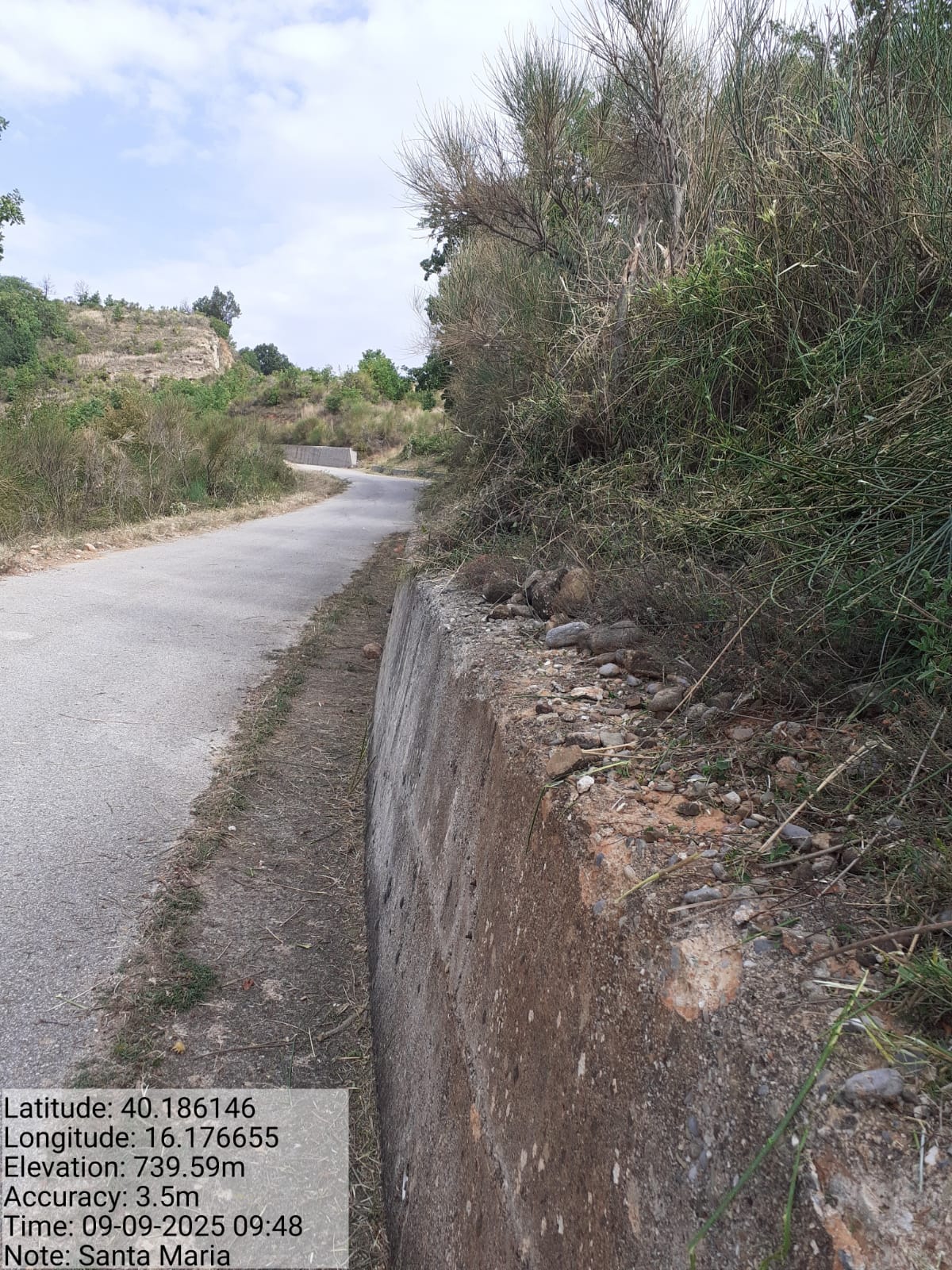 Galleria Fotografica Immagine