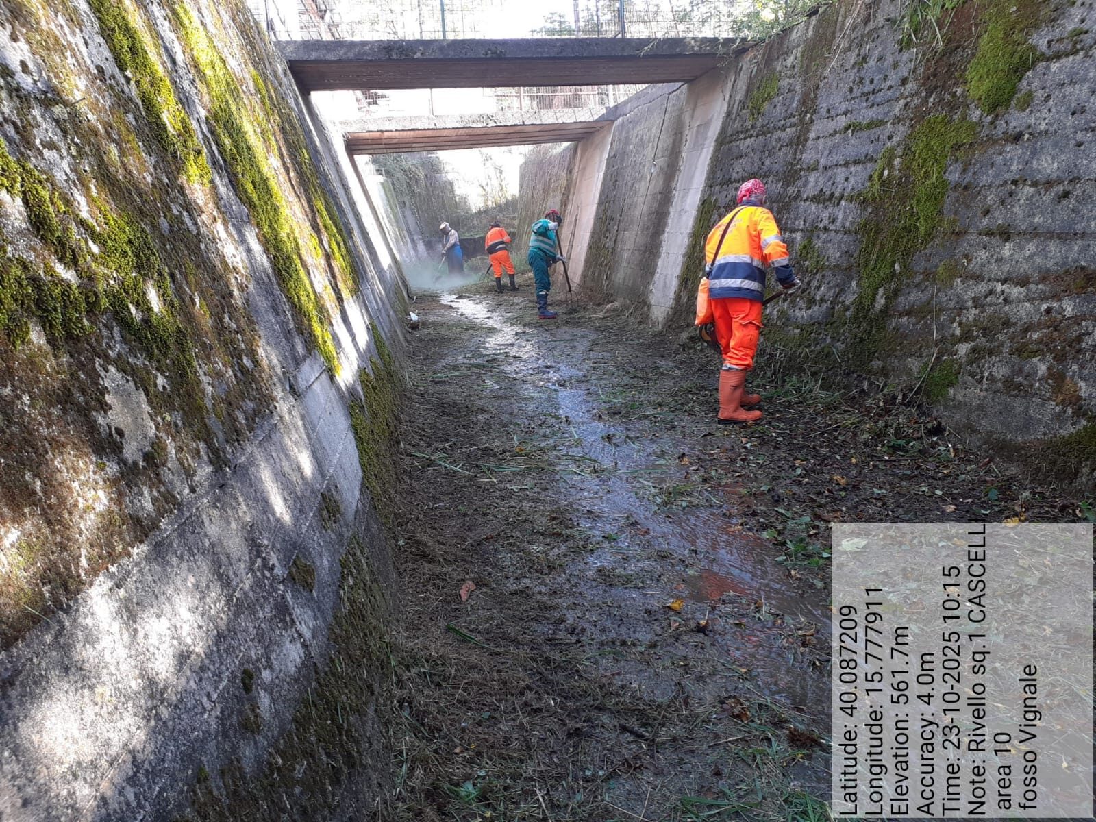 Galleria Fotografica Immagine