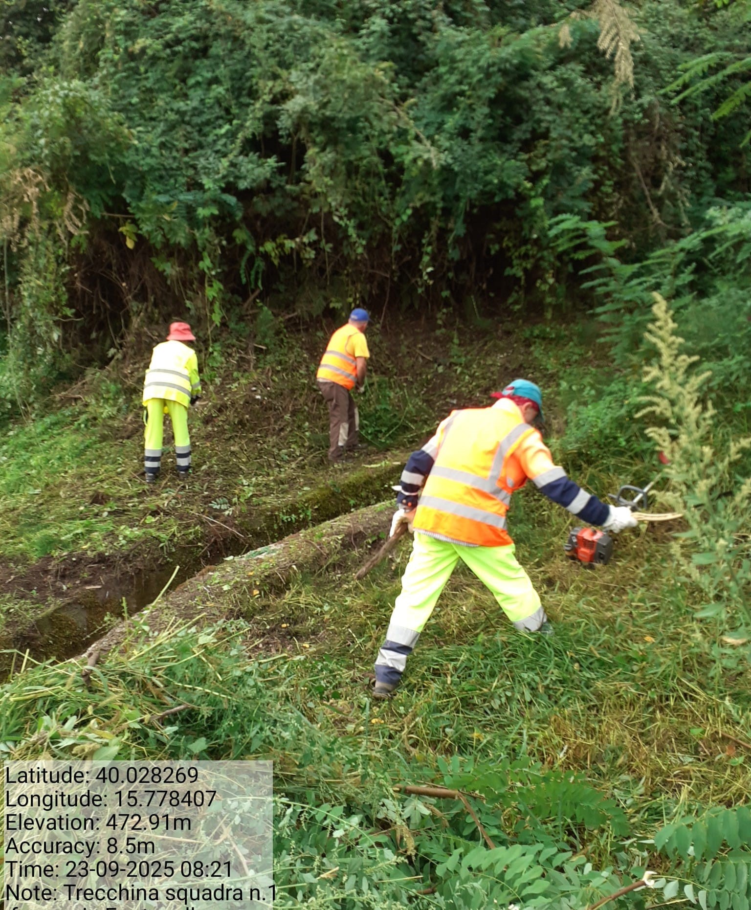 Galleria Fotografica Immagine