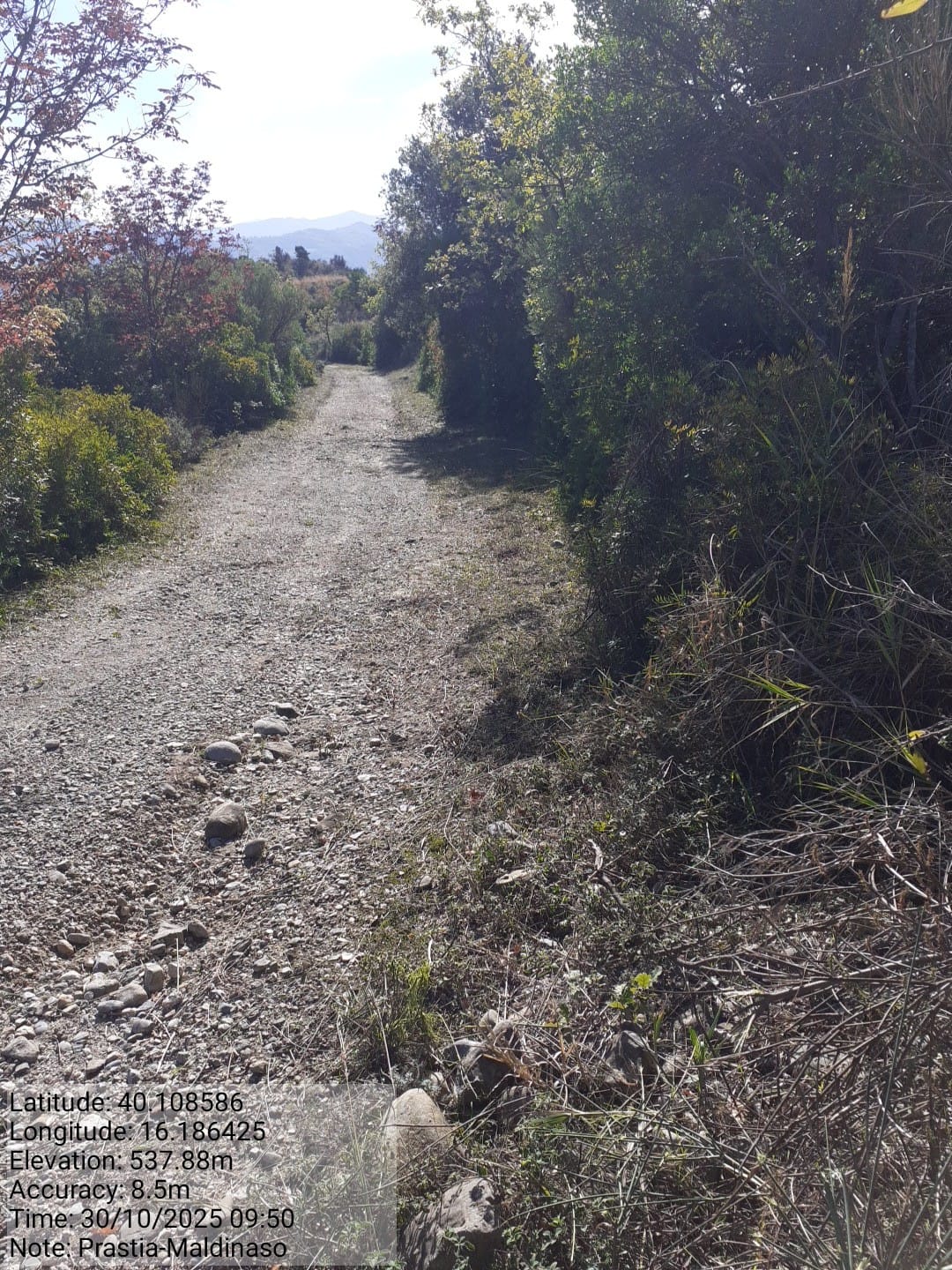 Galleria Fotografica Immagine