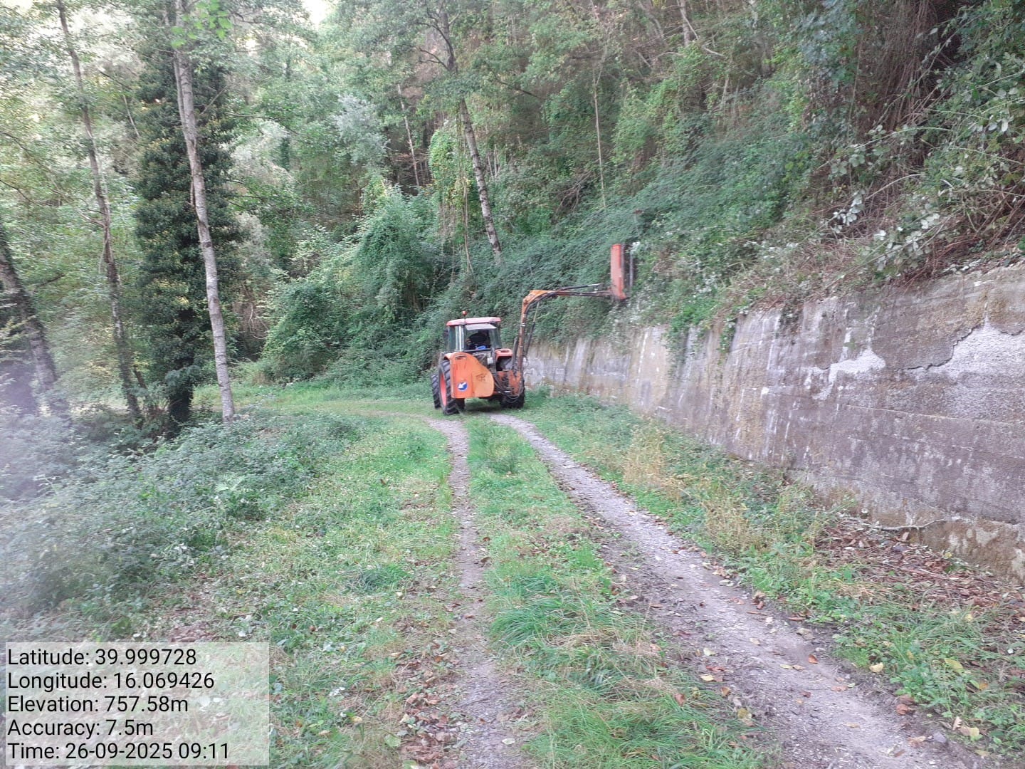 Galleria Fotografica Immagine