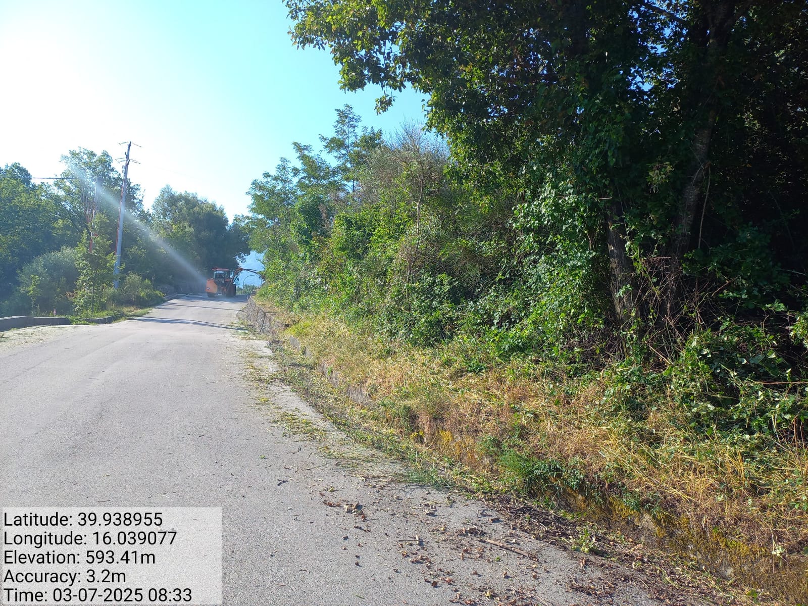 Galleria Fotografica Immagine