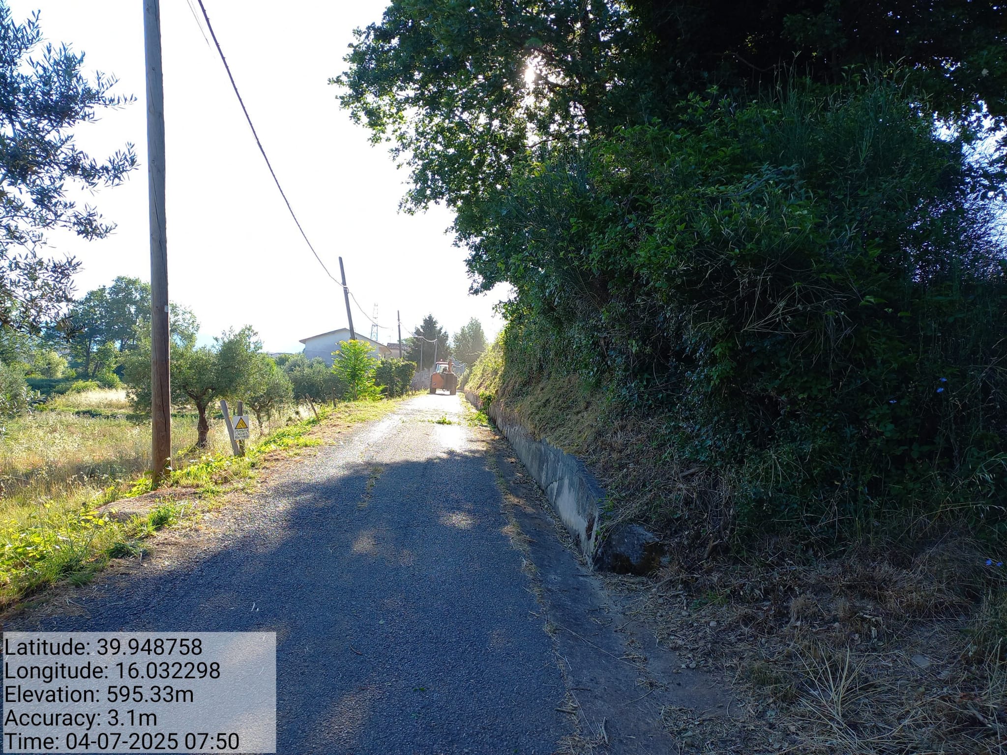 Galleria Fotografica Immagine