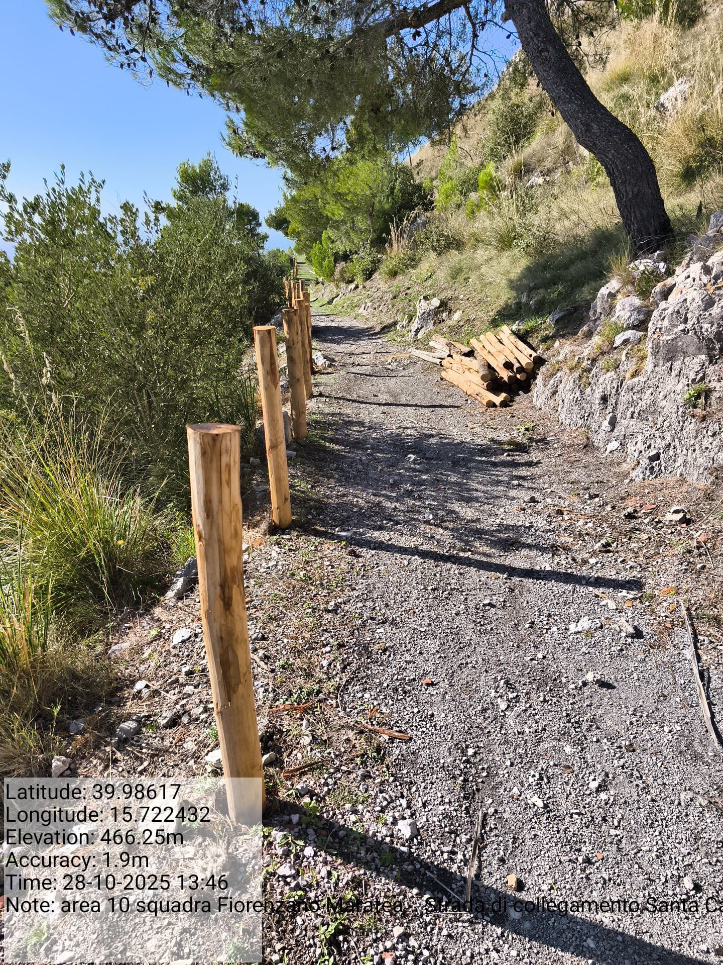 Galleria Fotografica Immagine