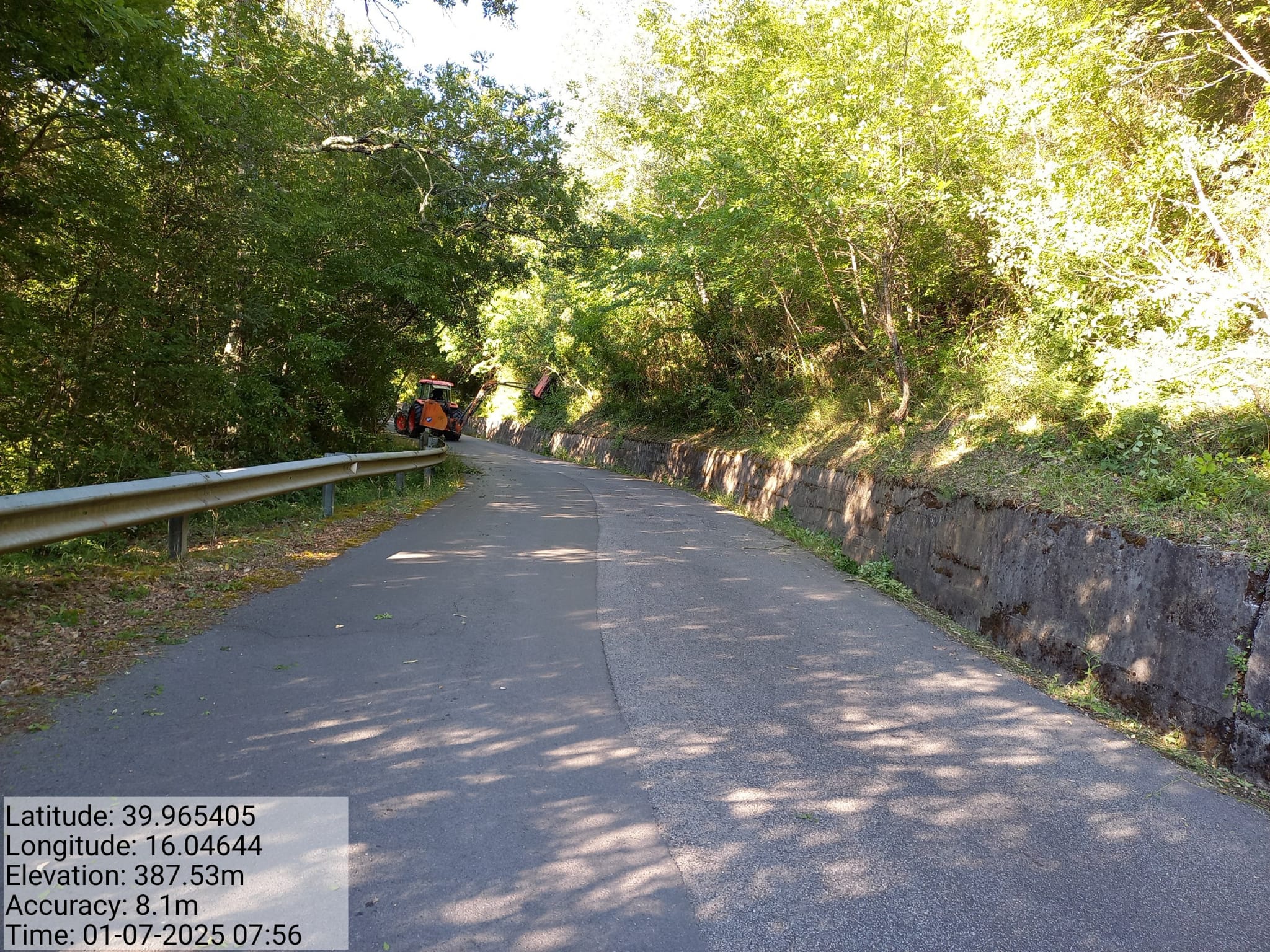 Galleria Fotografica Immagine