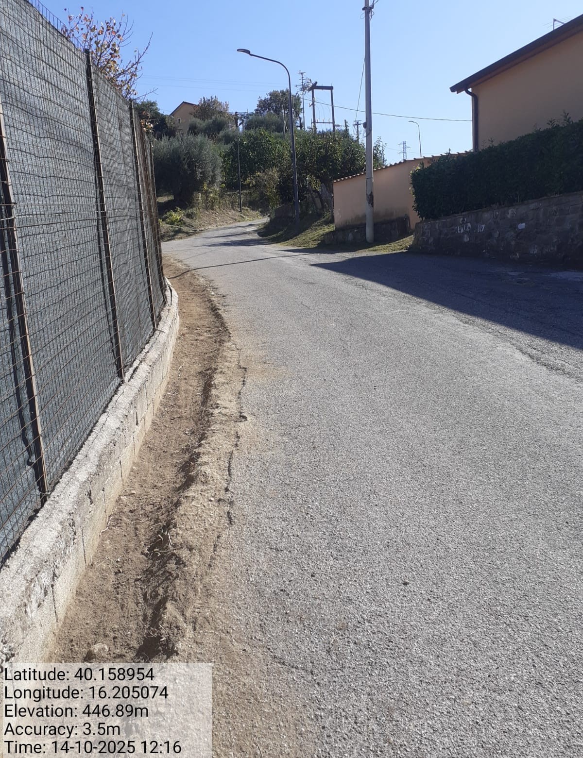 Galleria Fotografica Immagine