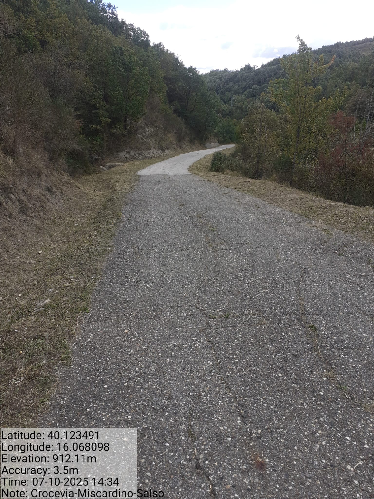 Galleria Fotografica Immagine