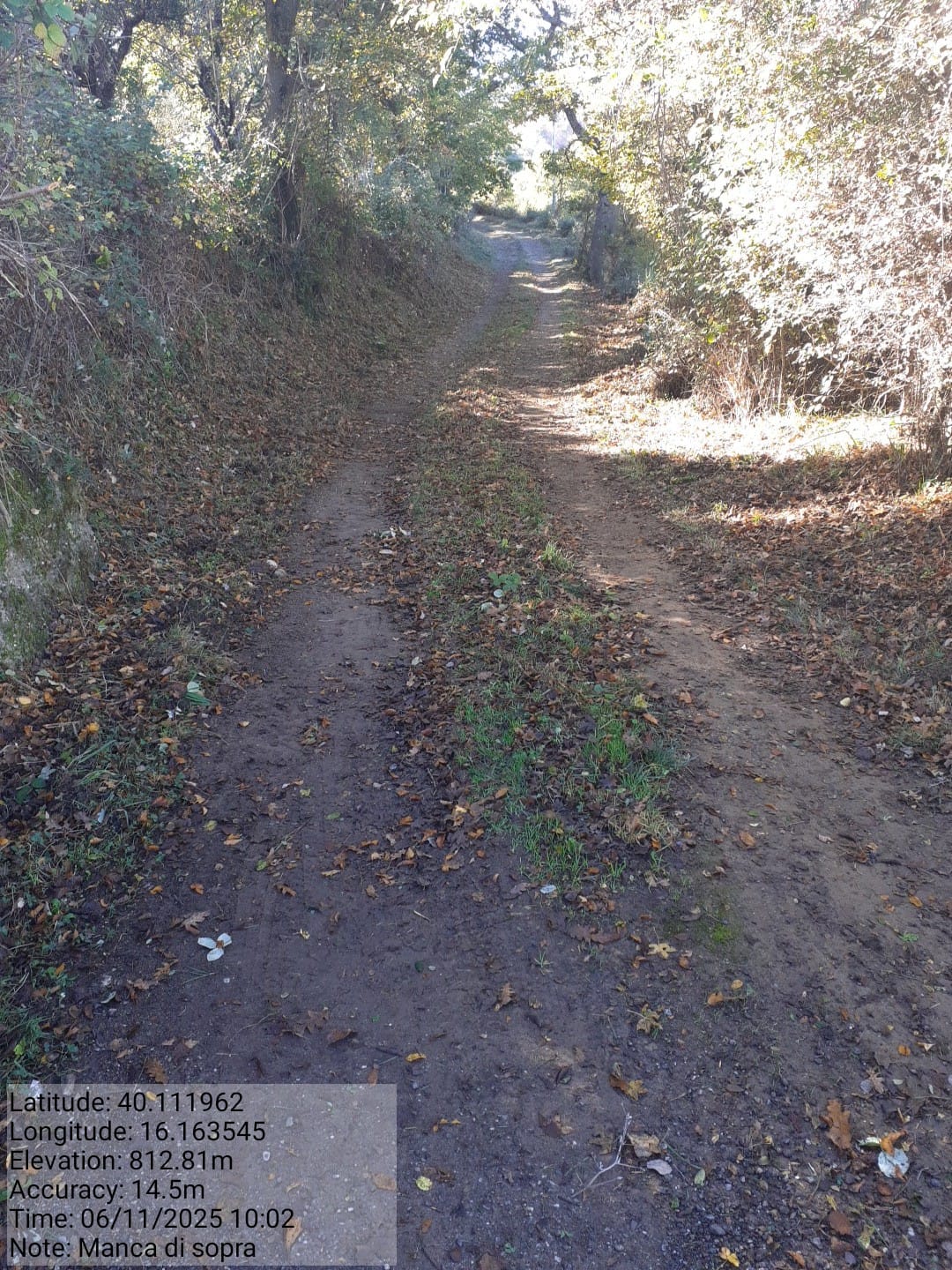 Galleria Fotografica Immagine