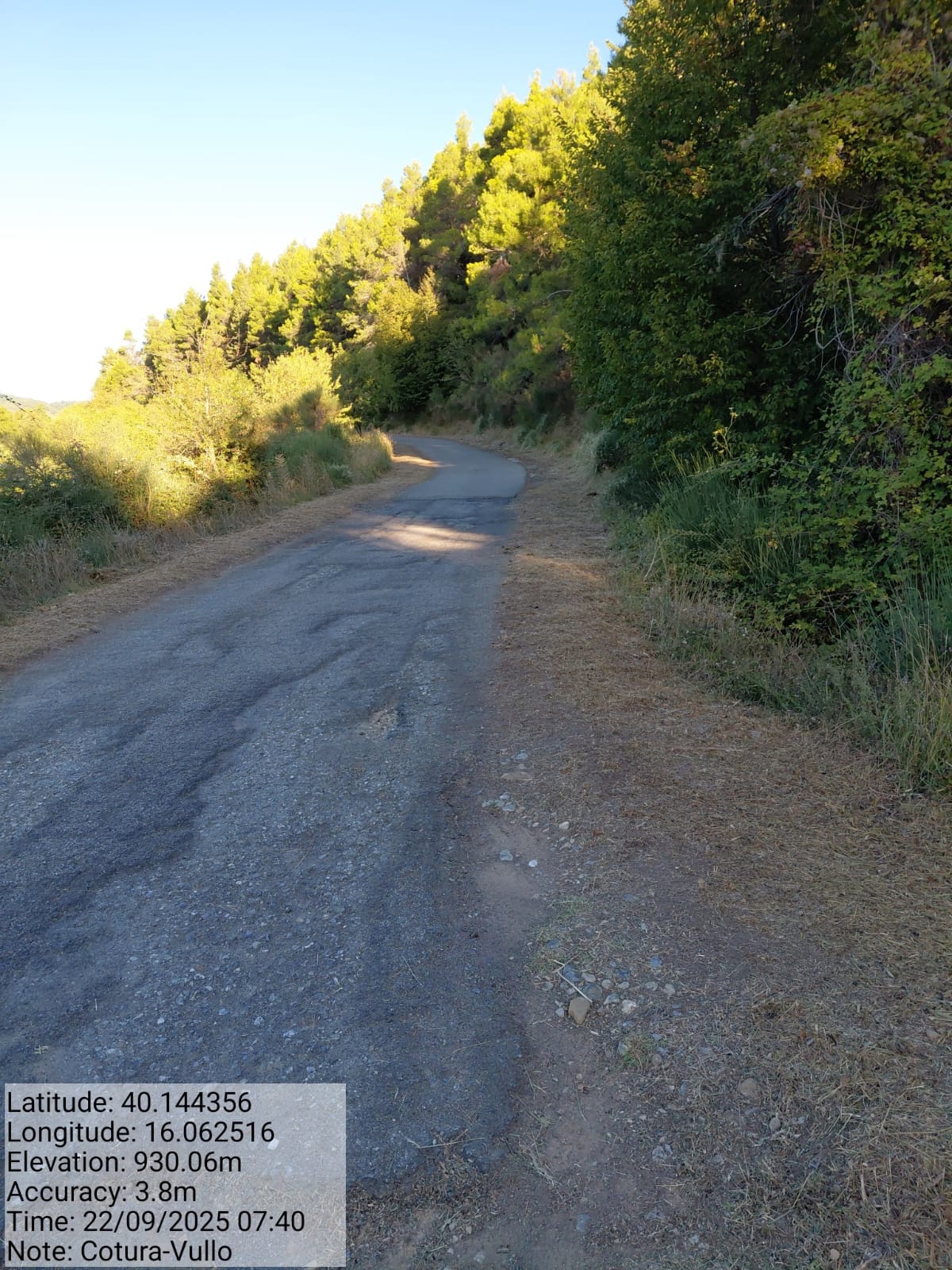 Galleria Fotografica Immagine