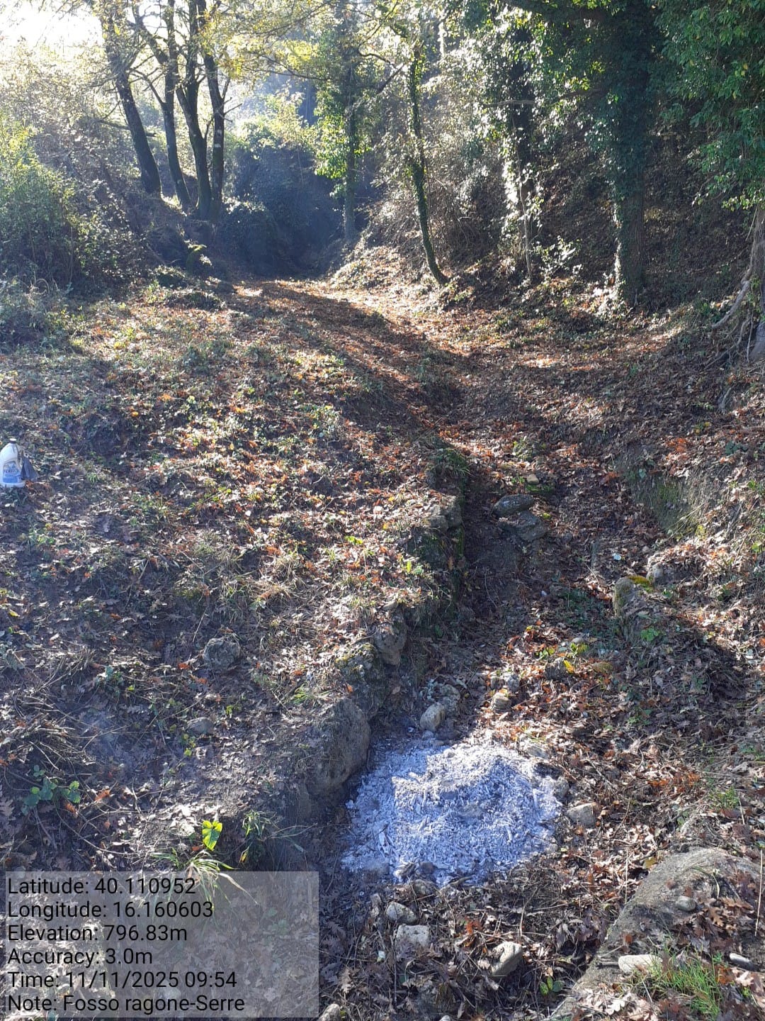 Galleria Fotografica Immagine