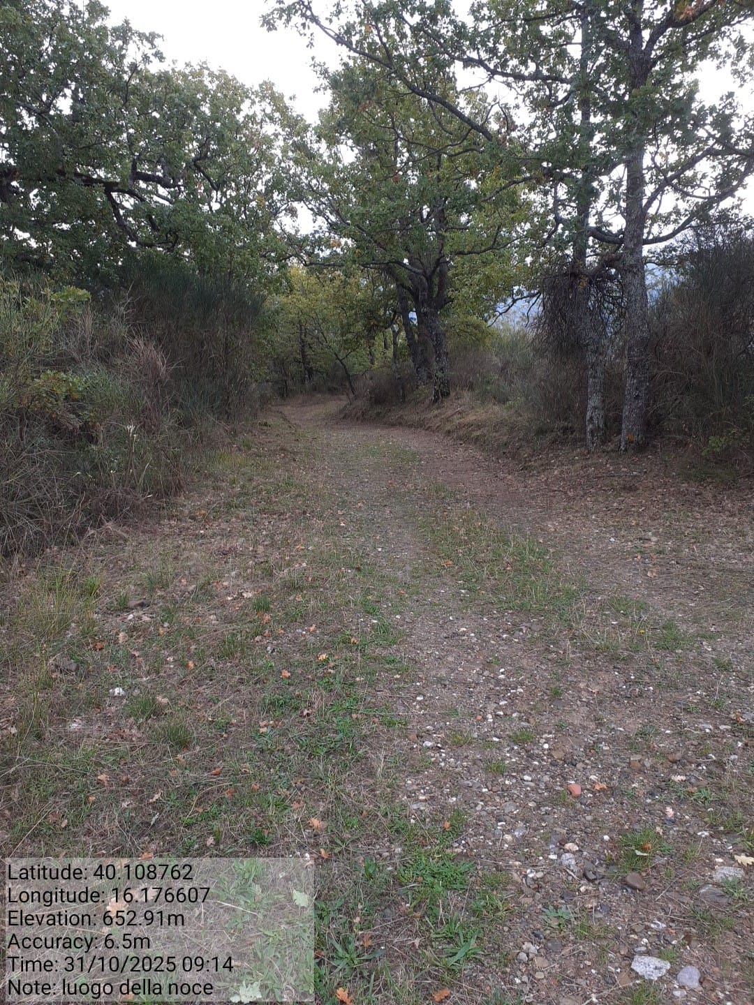 Galleria Fotografica Immagine