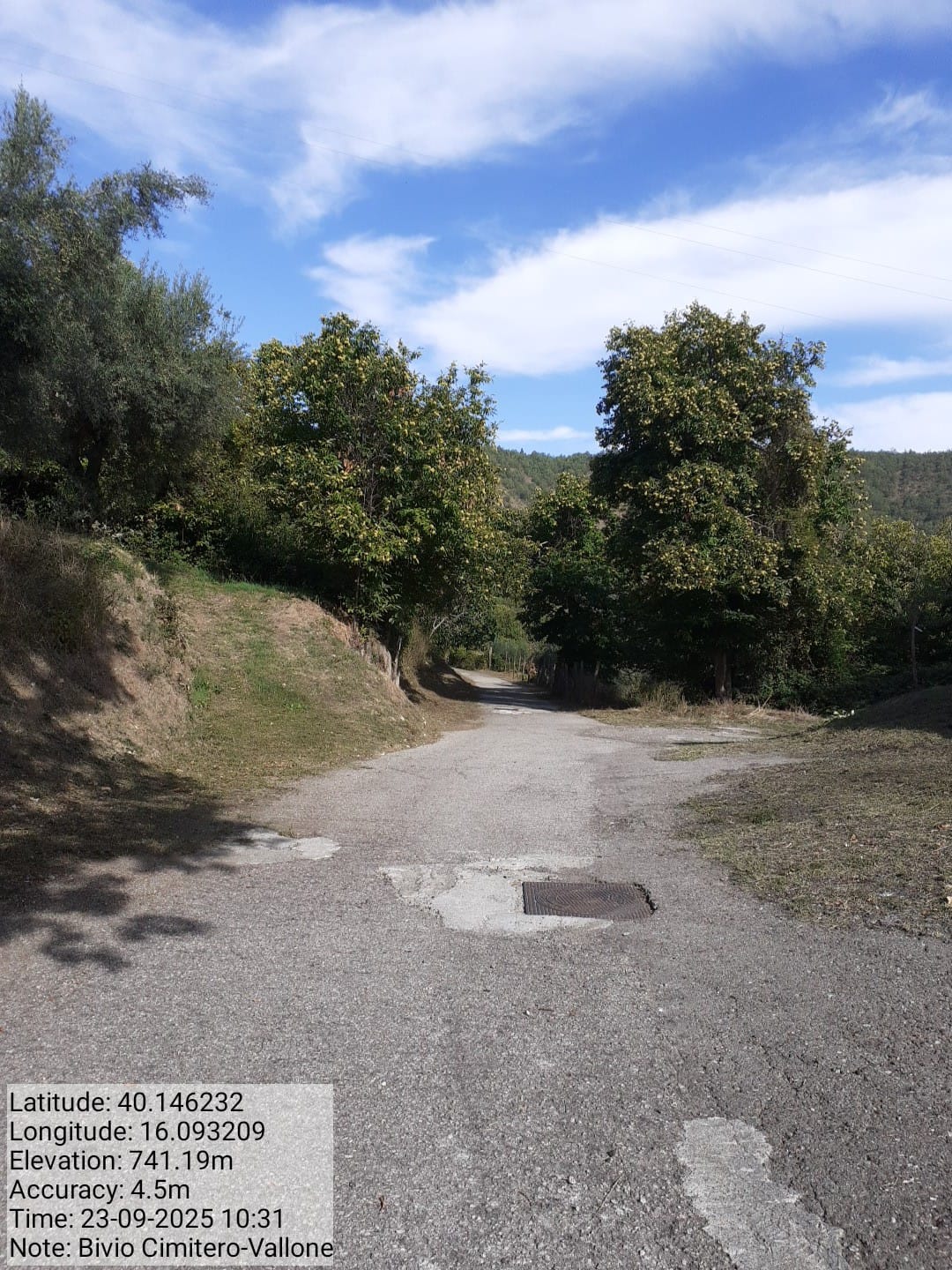 Galleria Fotografica Immagine