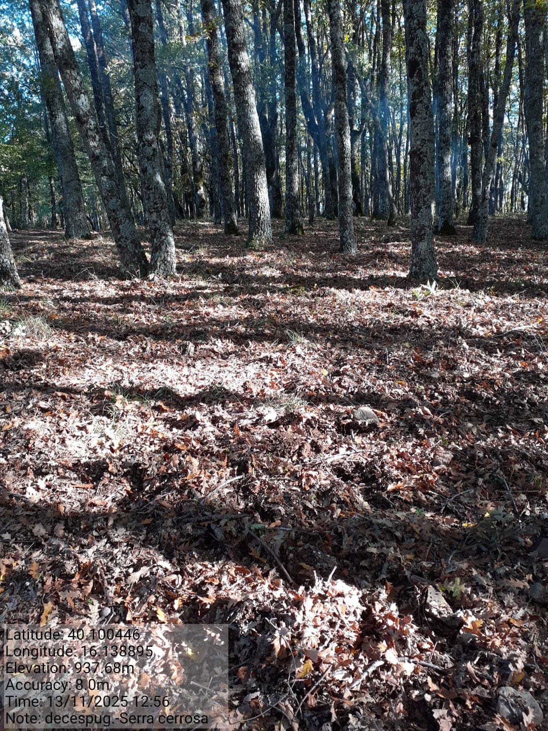 Galleria Fotografica Immagine