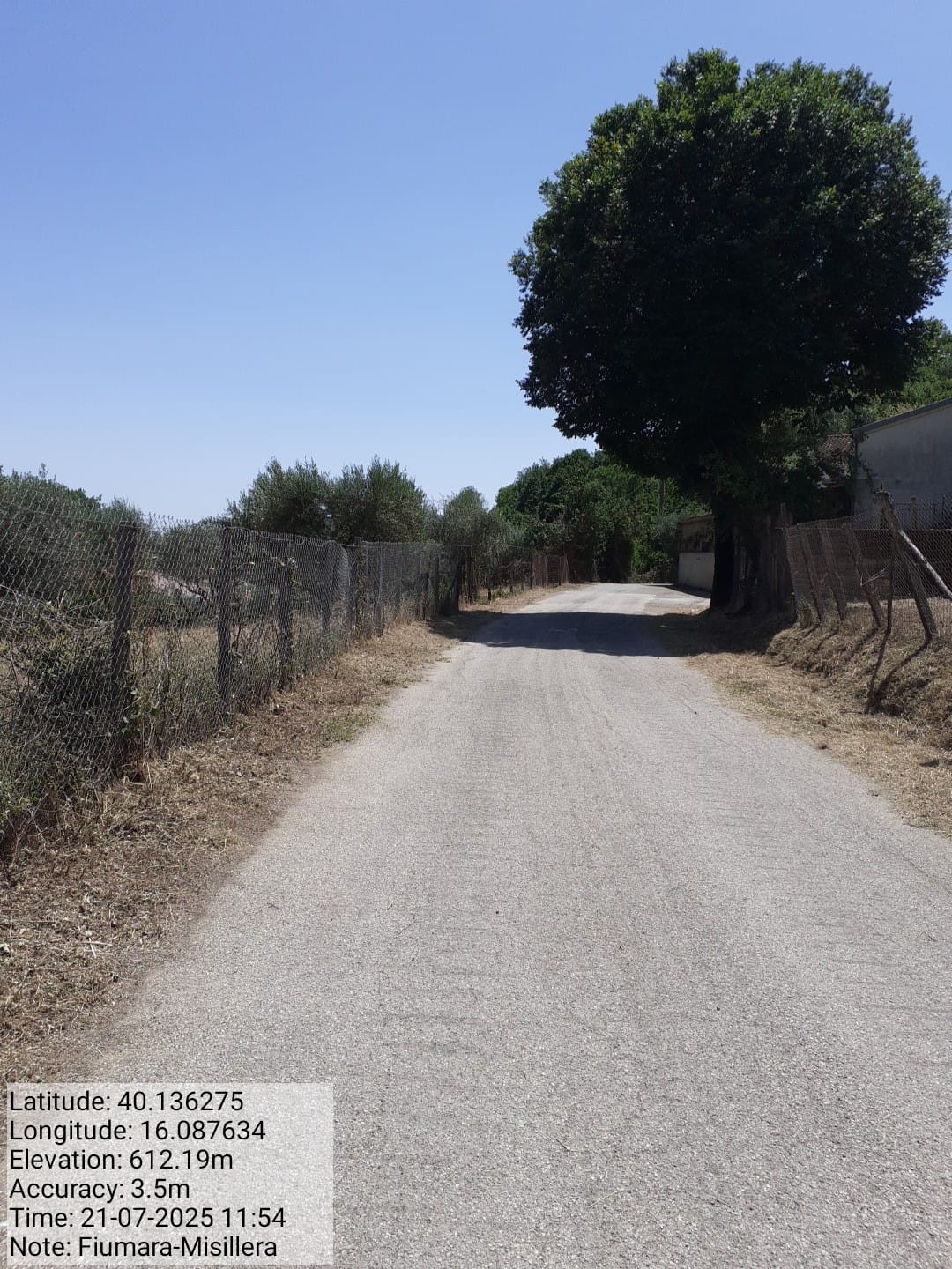 Galleria Fotografica Immagine