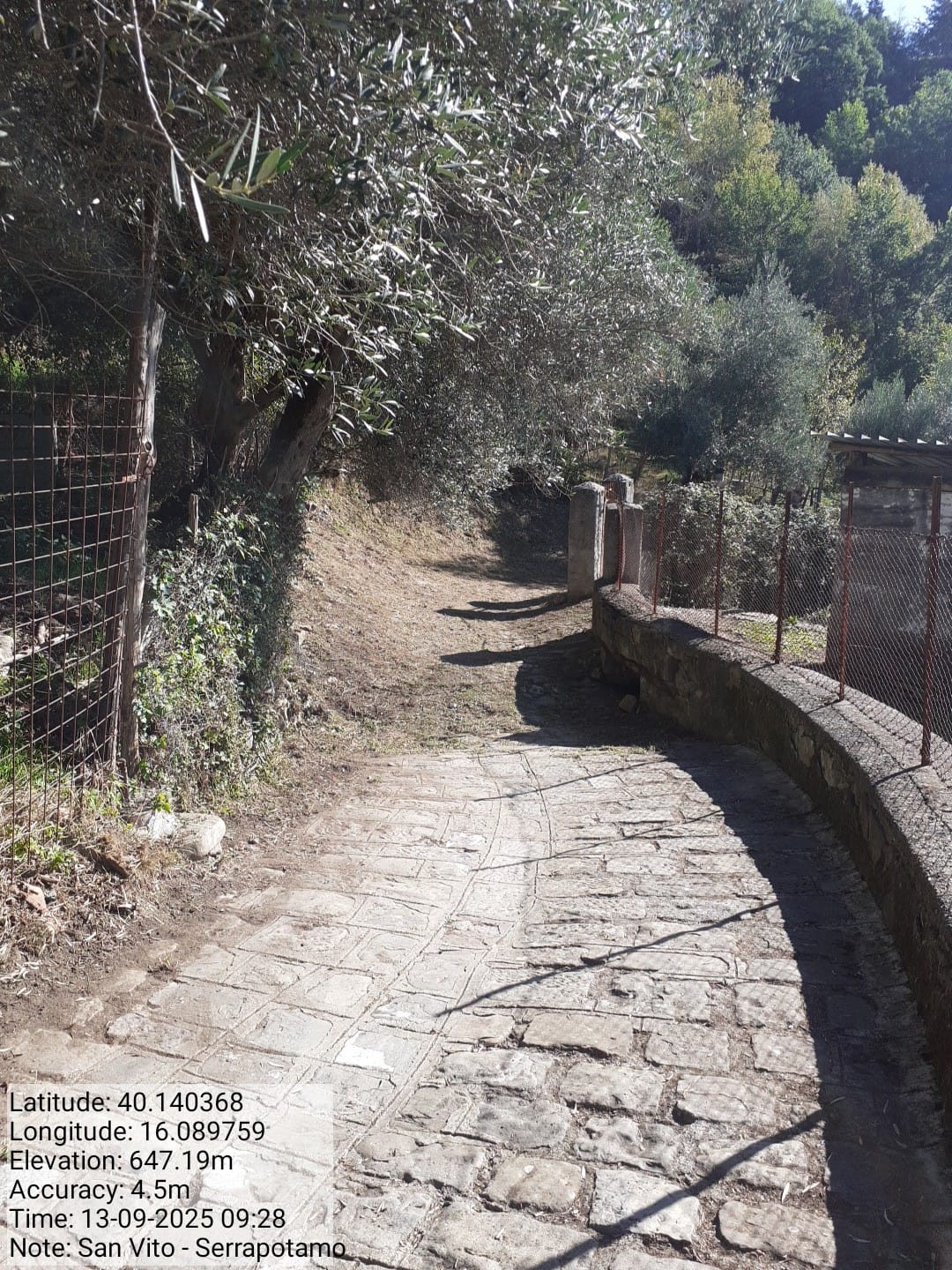 Galleria Fotografica Immagine