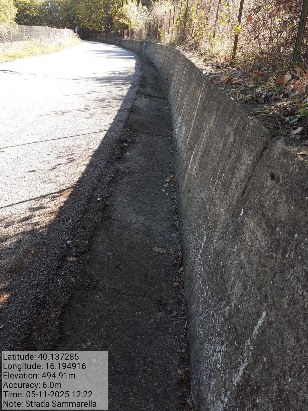 Galleria Fotografica Immagine