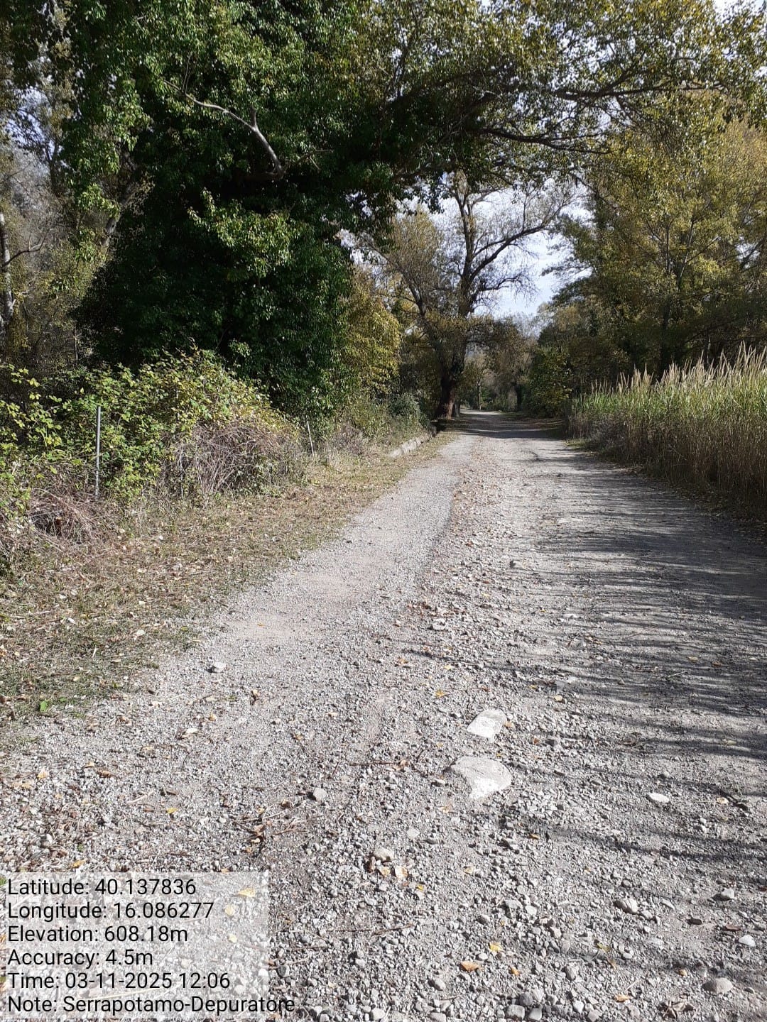 Galleria Fotografica Immagine