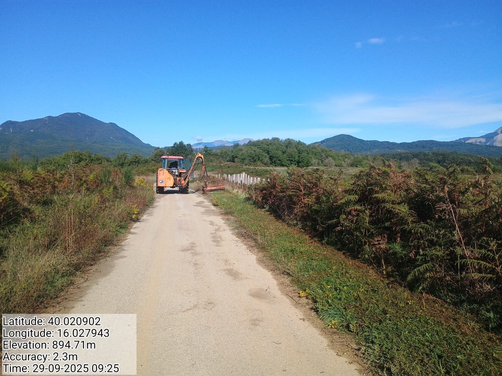 Galleria Fotografica Immagine