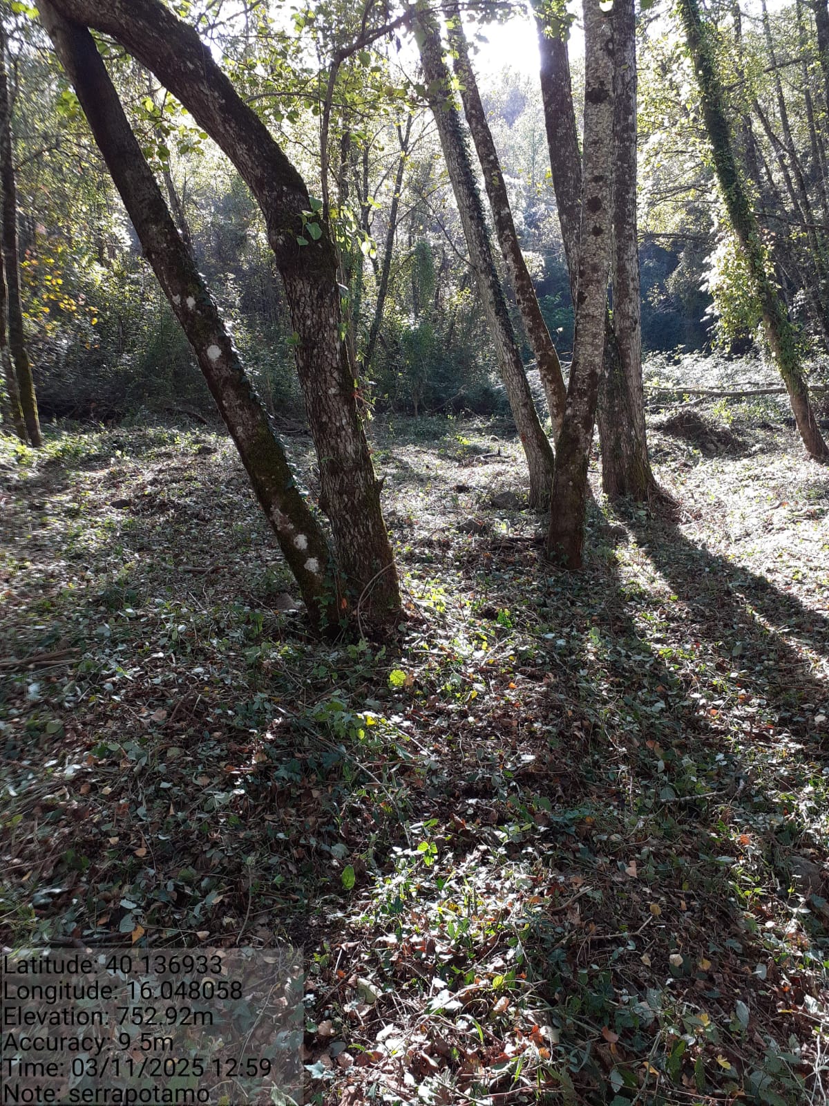 Galleria Fotografica Immagine