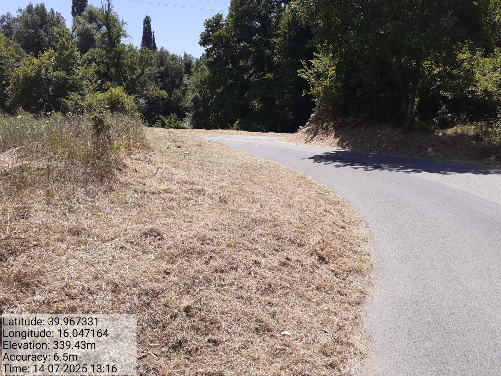 Galleria Fotografica Immagine