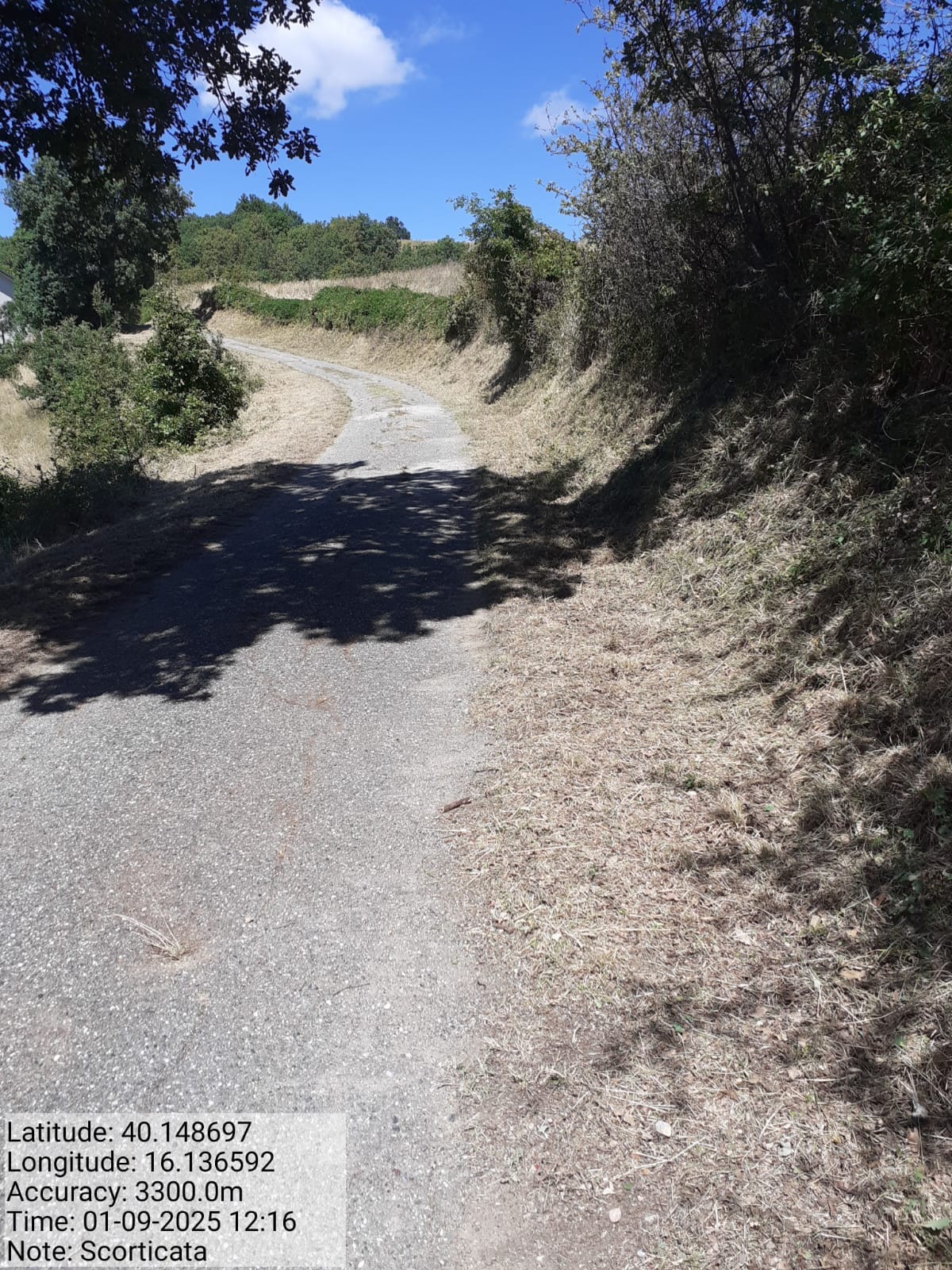 Galleria Fotografica Immagine