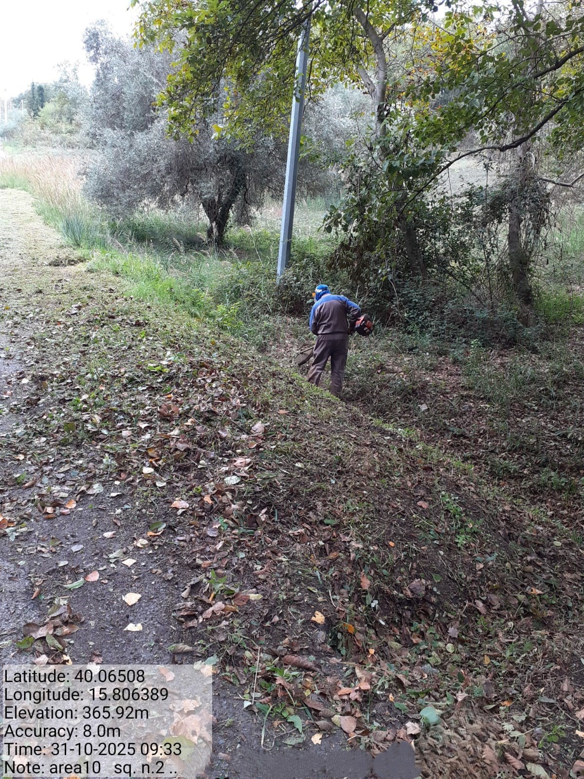 Galleria Fotografica Immagine