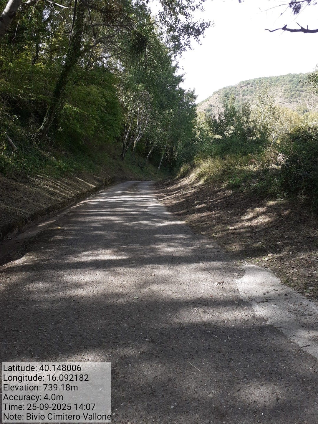 Galleria Fotografica Immagine