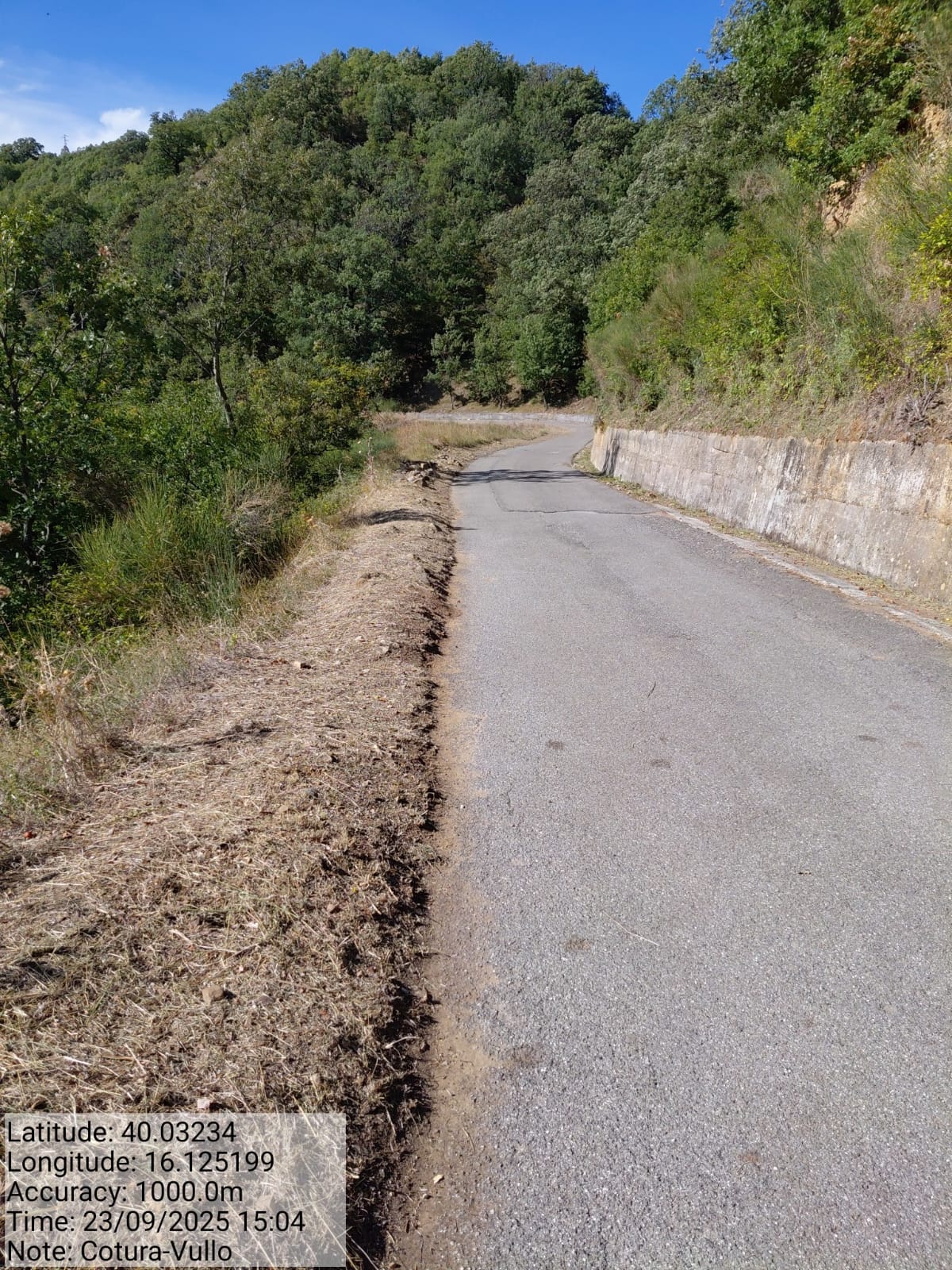 Galleria Fotografica Immagine