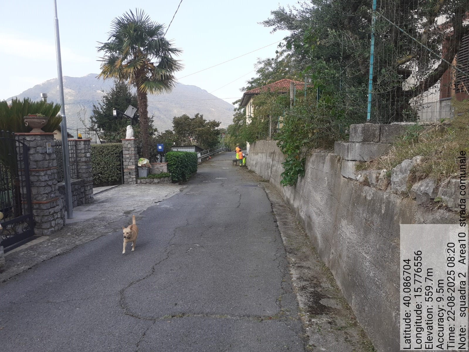 Galleria Fotografica Immagine