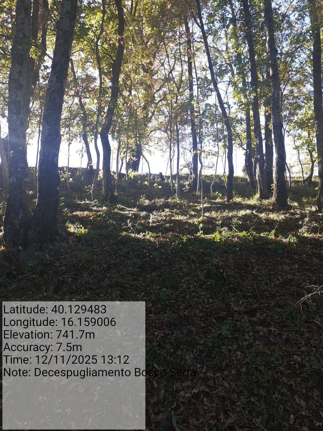 Galleria Fotografica Immagine