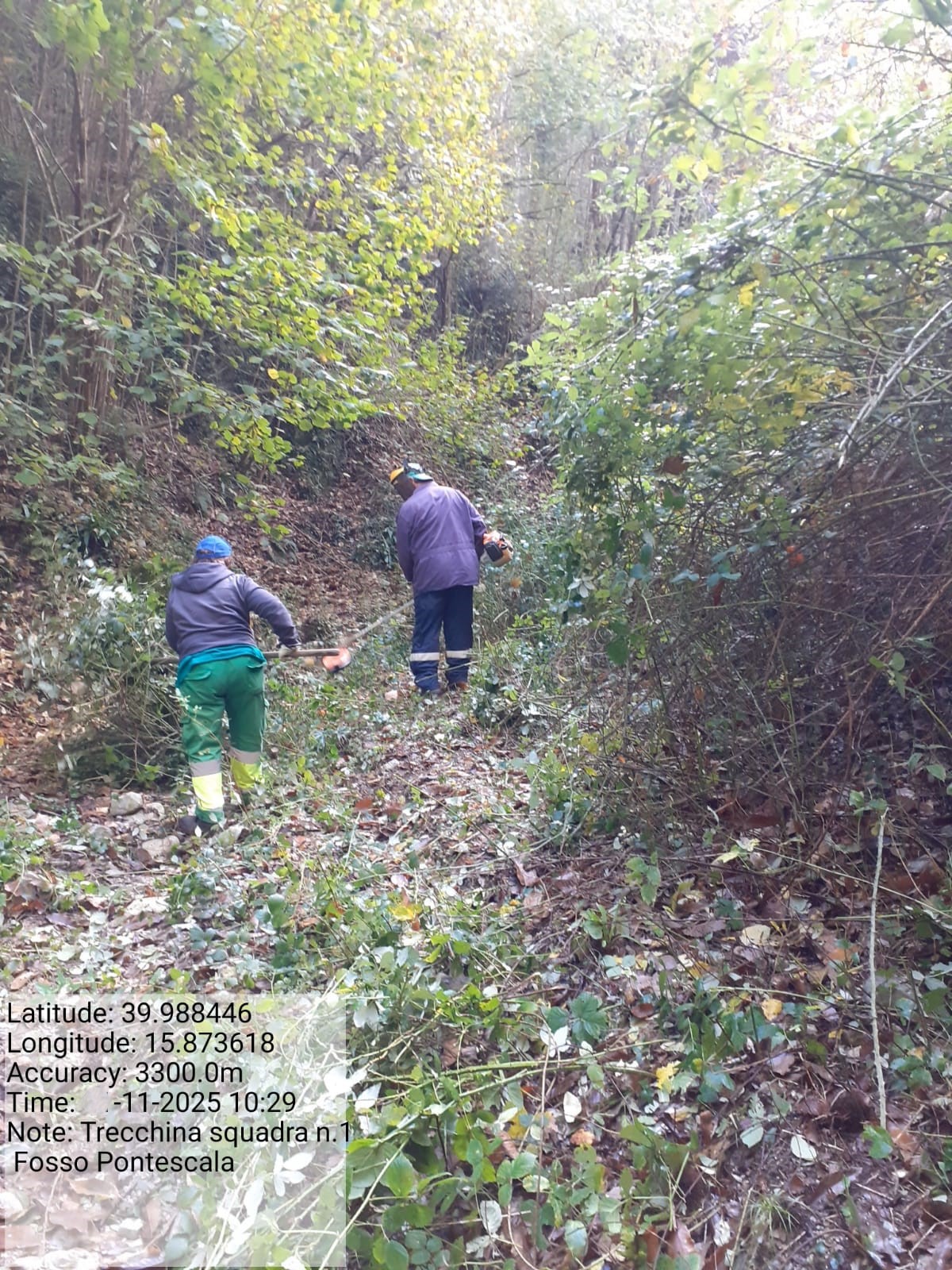 Galleria Fotografica Immagine