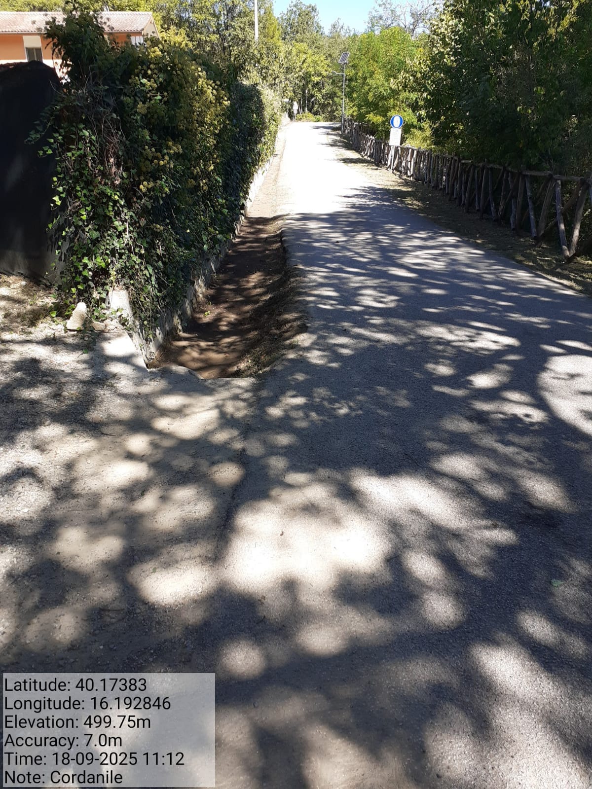 Galleria Fotografica Immagine