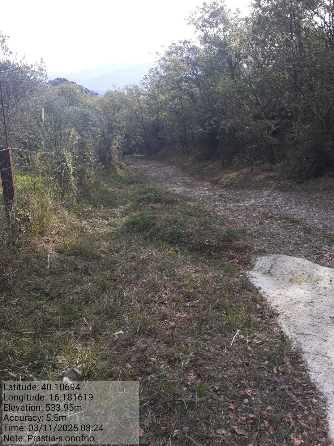 Galleria Fotografica Immagine