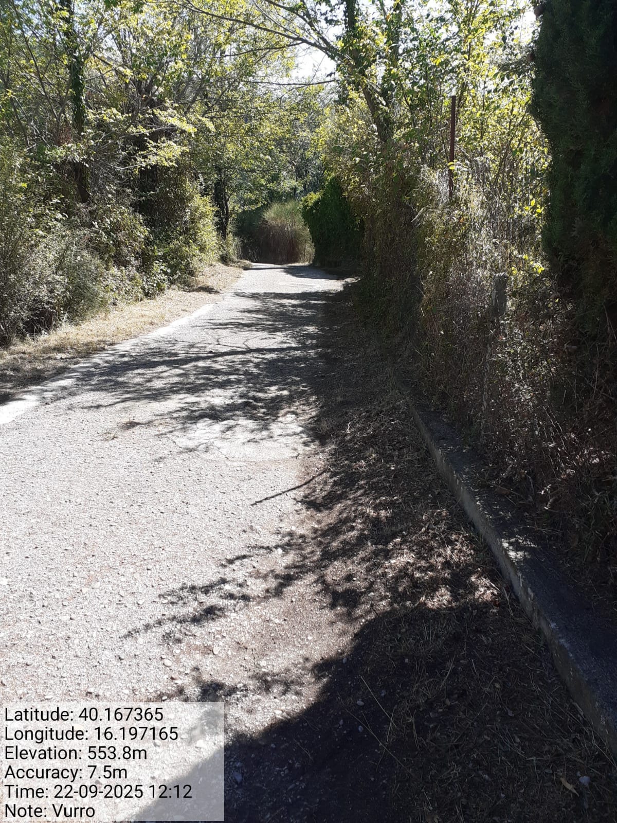 Galleria Fotografica Immagine