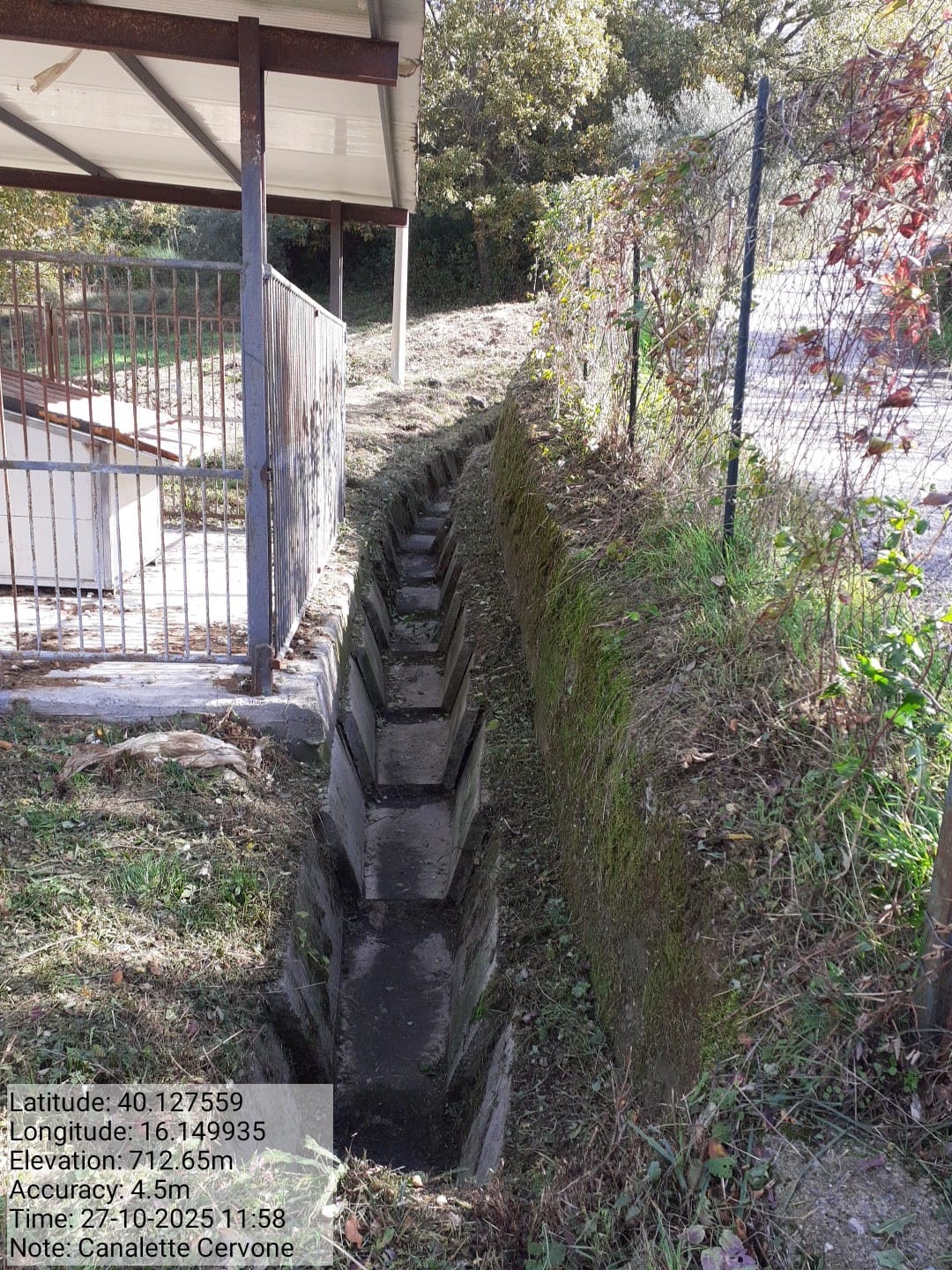 Galleria Fotografica Immagine