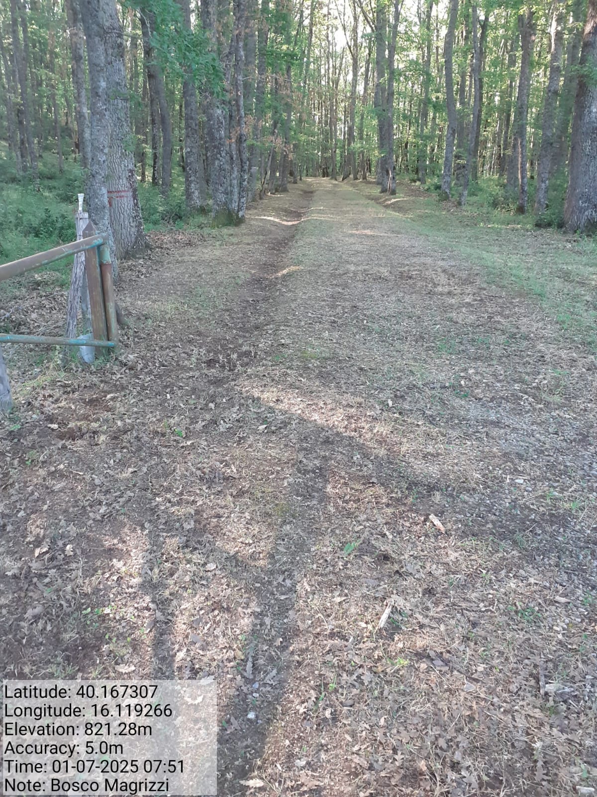 Galleria Fotografica Immagine