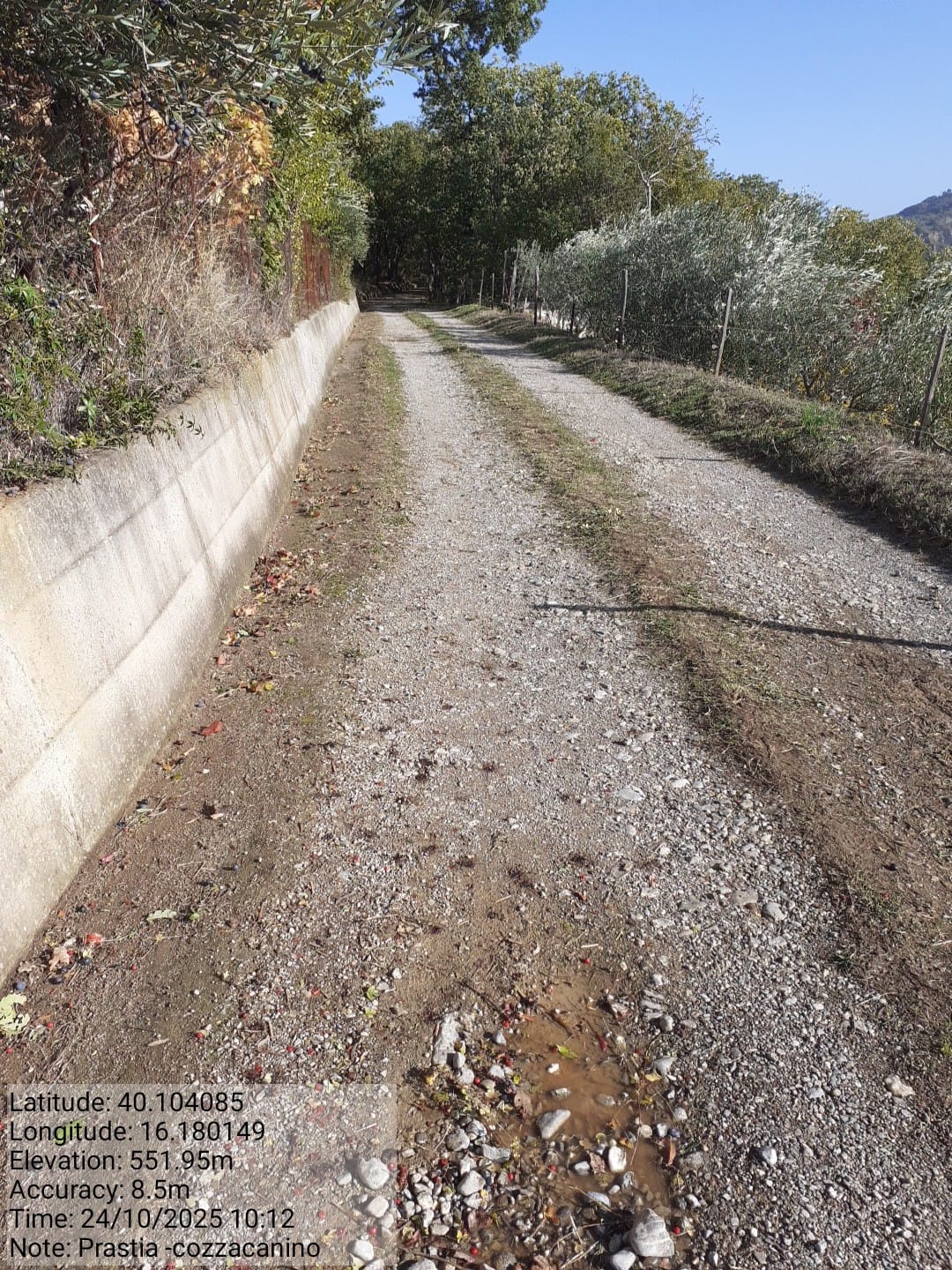 Galleria Fotografica Immagine