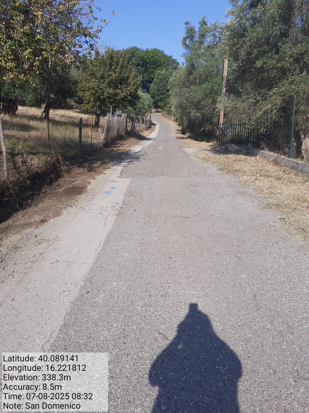 Galleria Fotografica Immagine