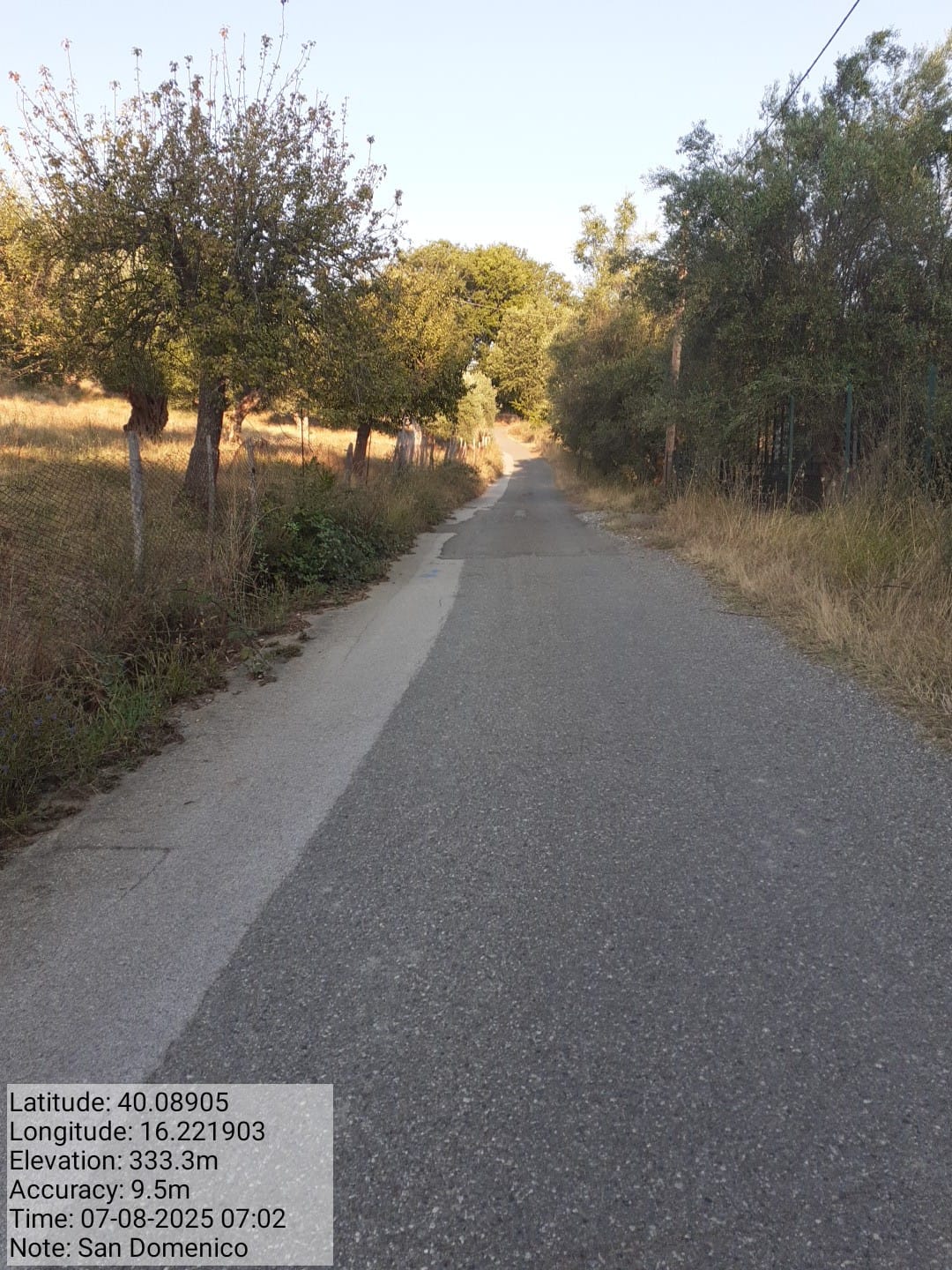 Galleria Fotografica Immagine