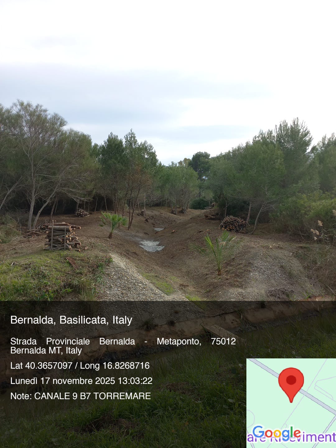 Galleria Fotografica Immagine