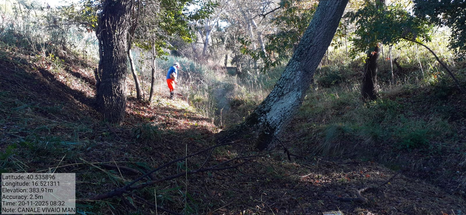 Galleria Fotografica Immagine