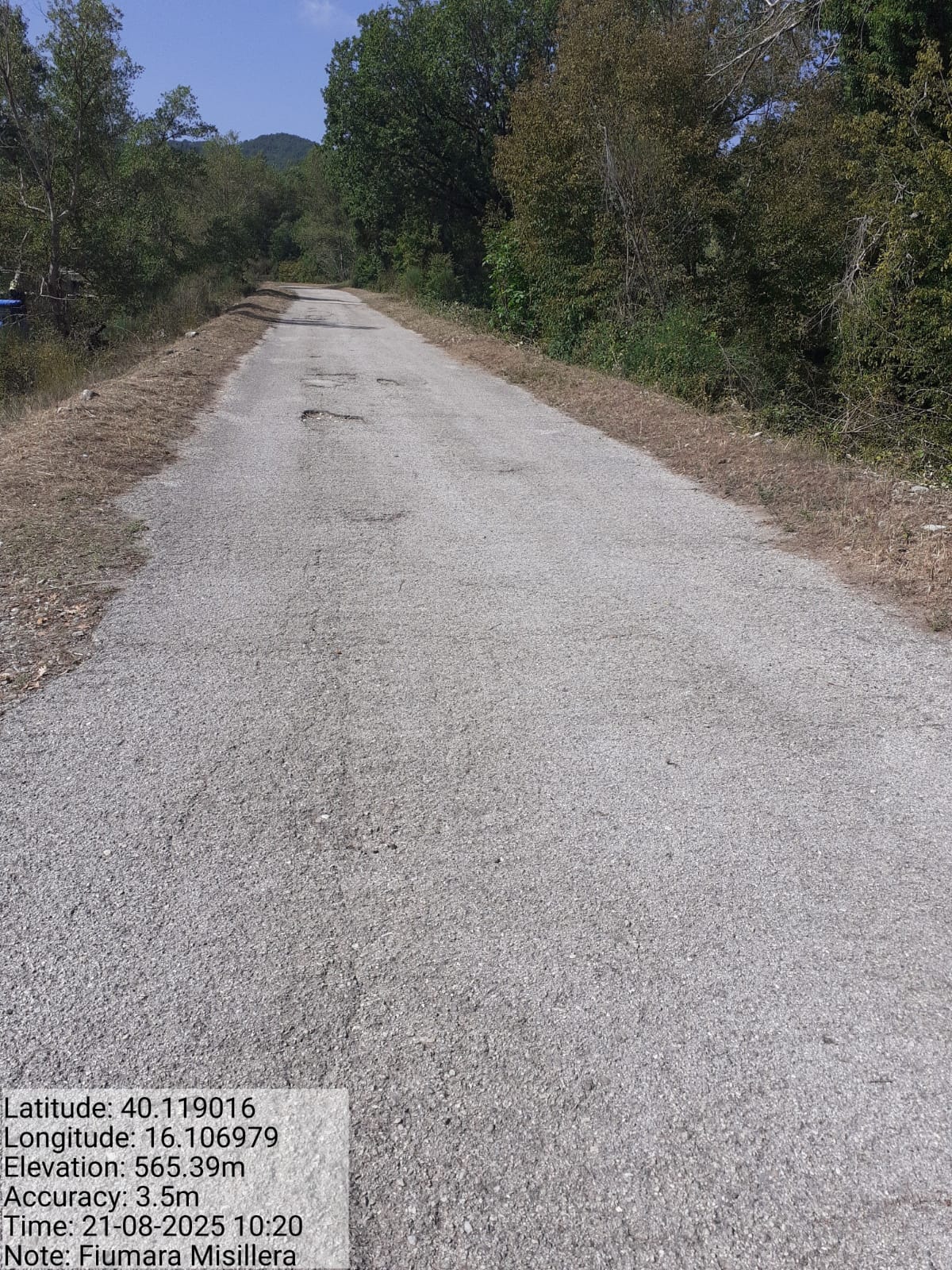 Galleria Fotografica Immagine