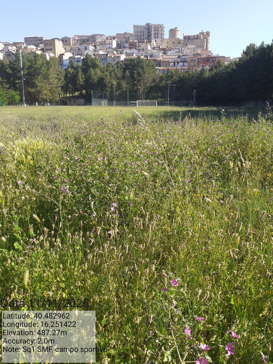 Galleria Fotografica Immagine